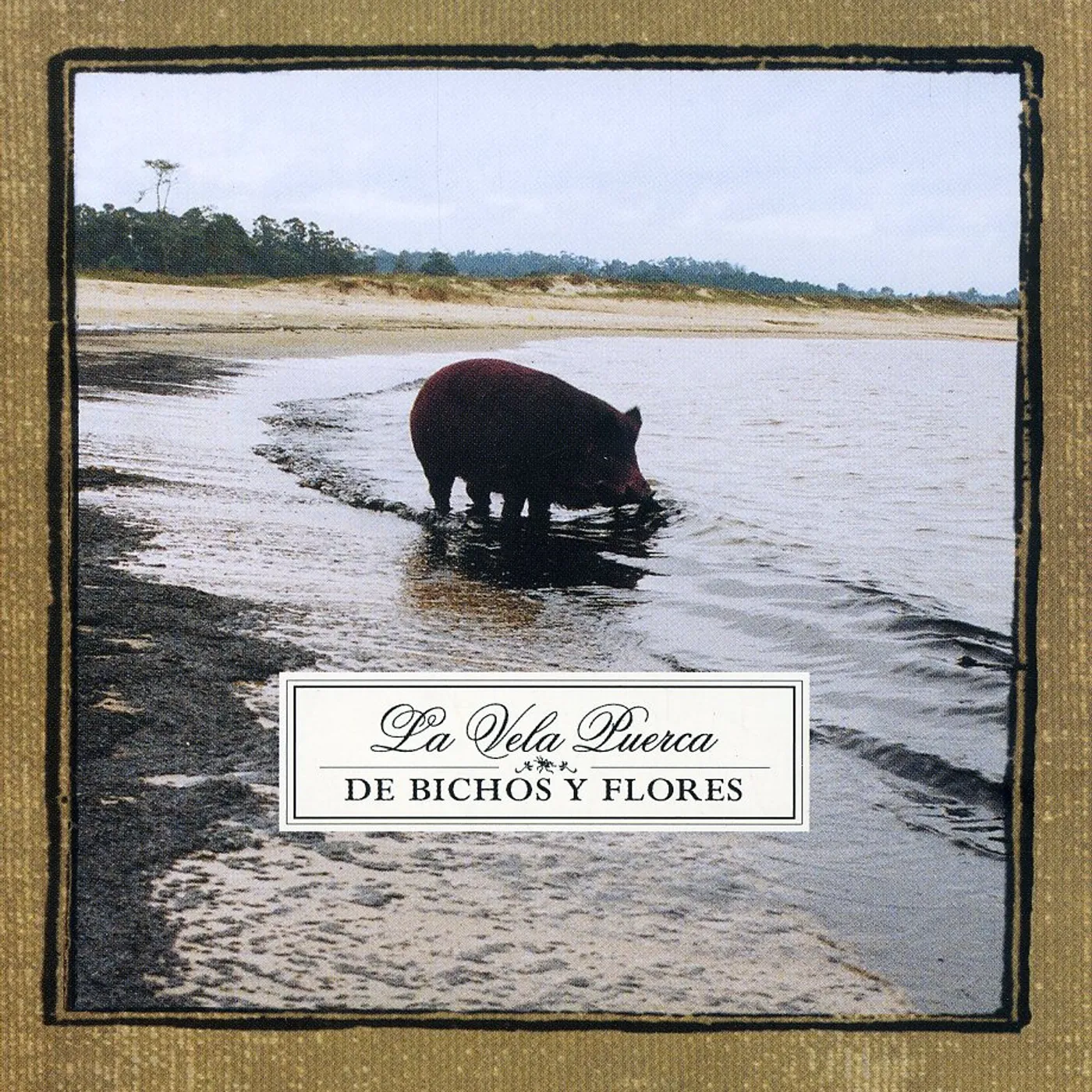 Vela puerca DE BICHOS Y FLORES CD