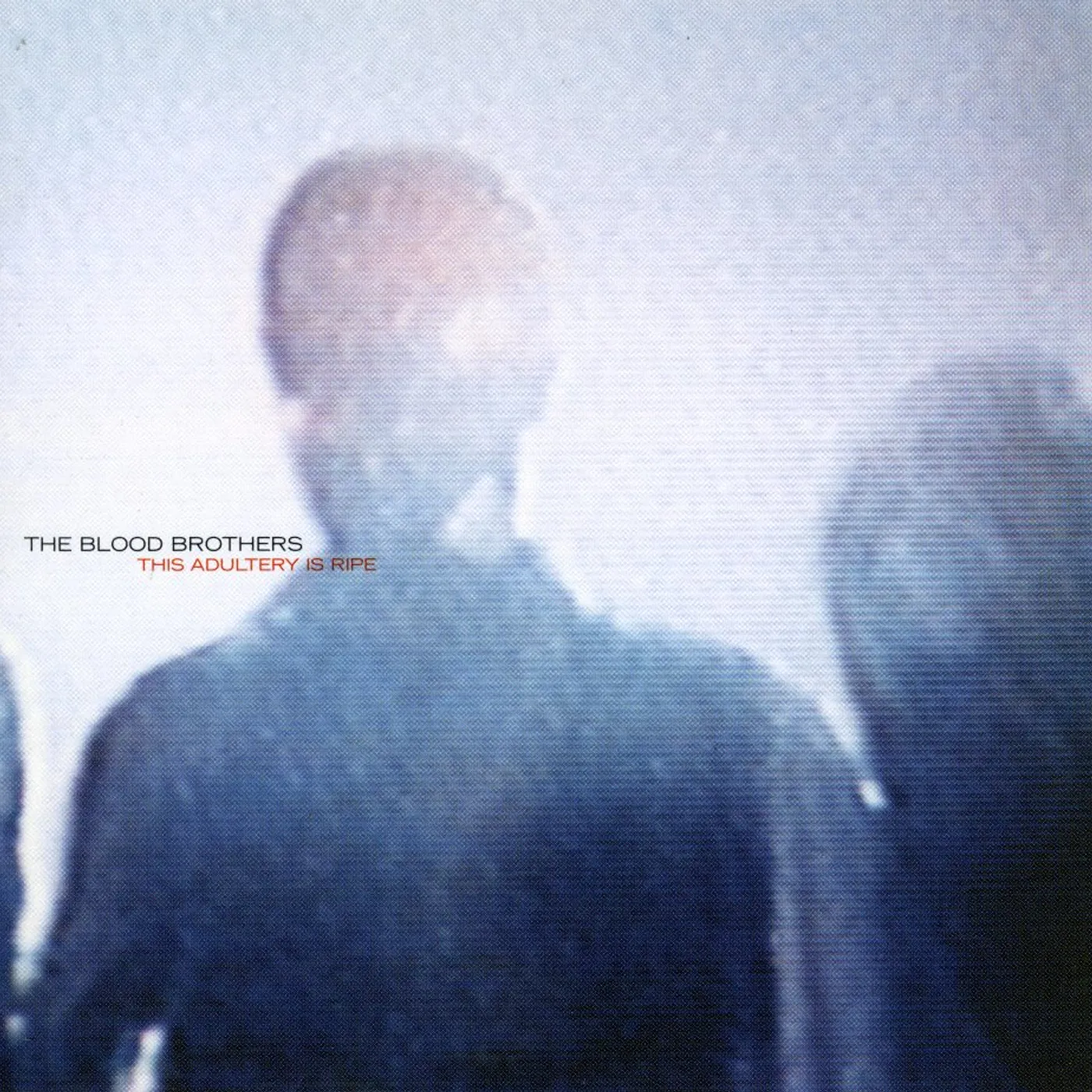 The Blood Brothers THIS ADULTRY IS RIPE CD
