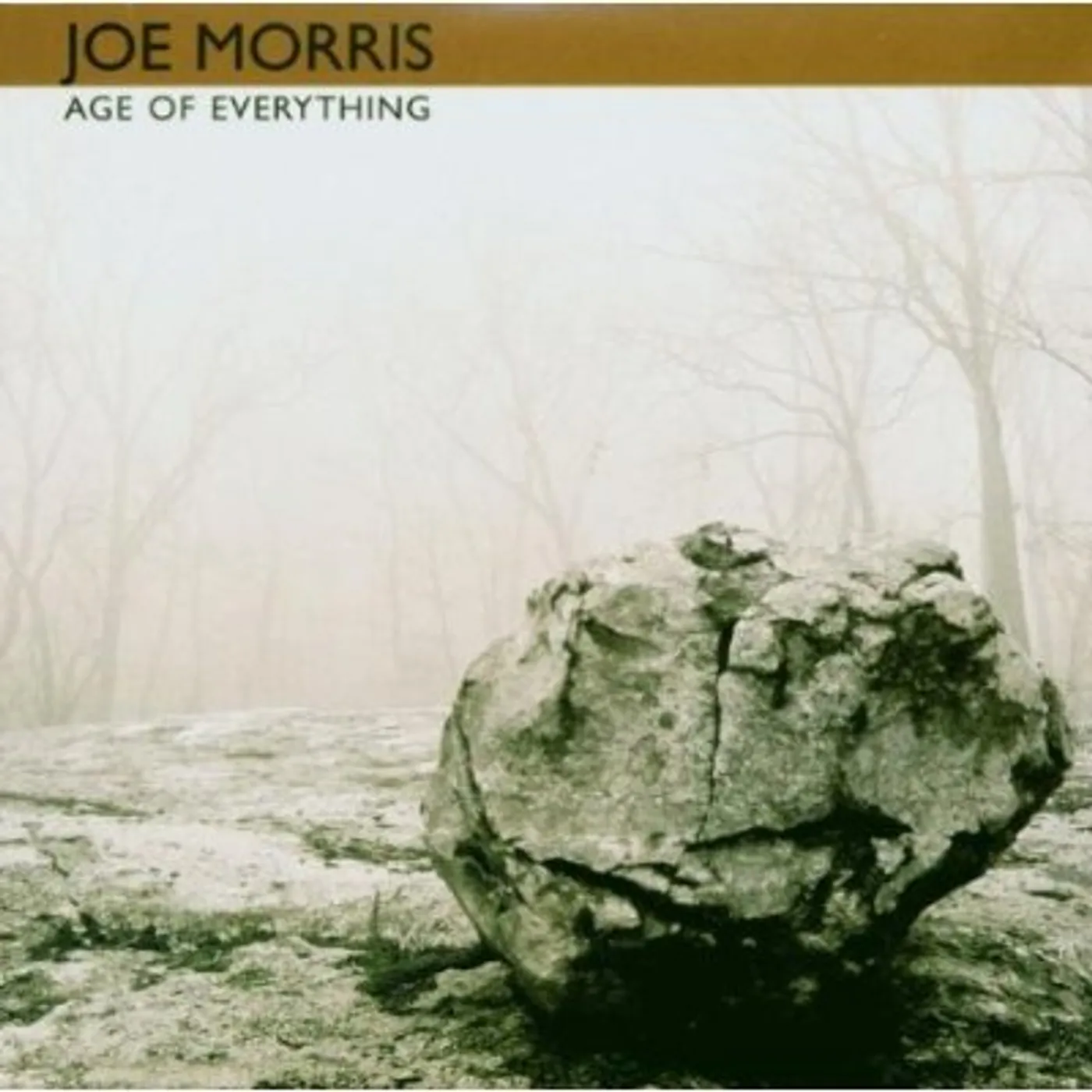 Joe Morris AGE OF EVERYTHING CD