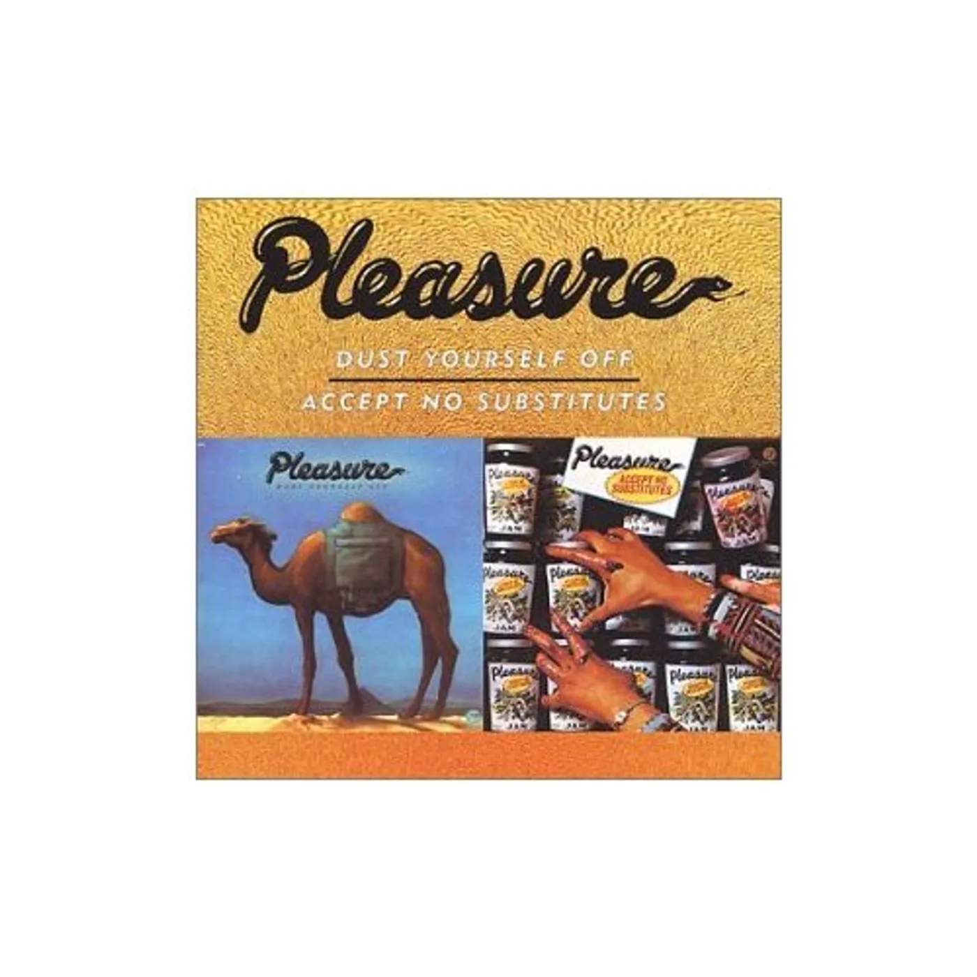 Pleasure DUST YOURSELF OFF & ACCEPT NO SUBSTITUTES CD