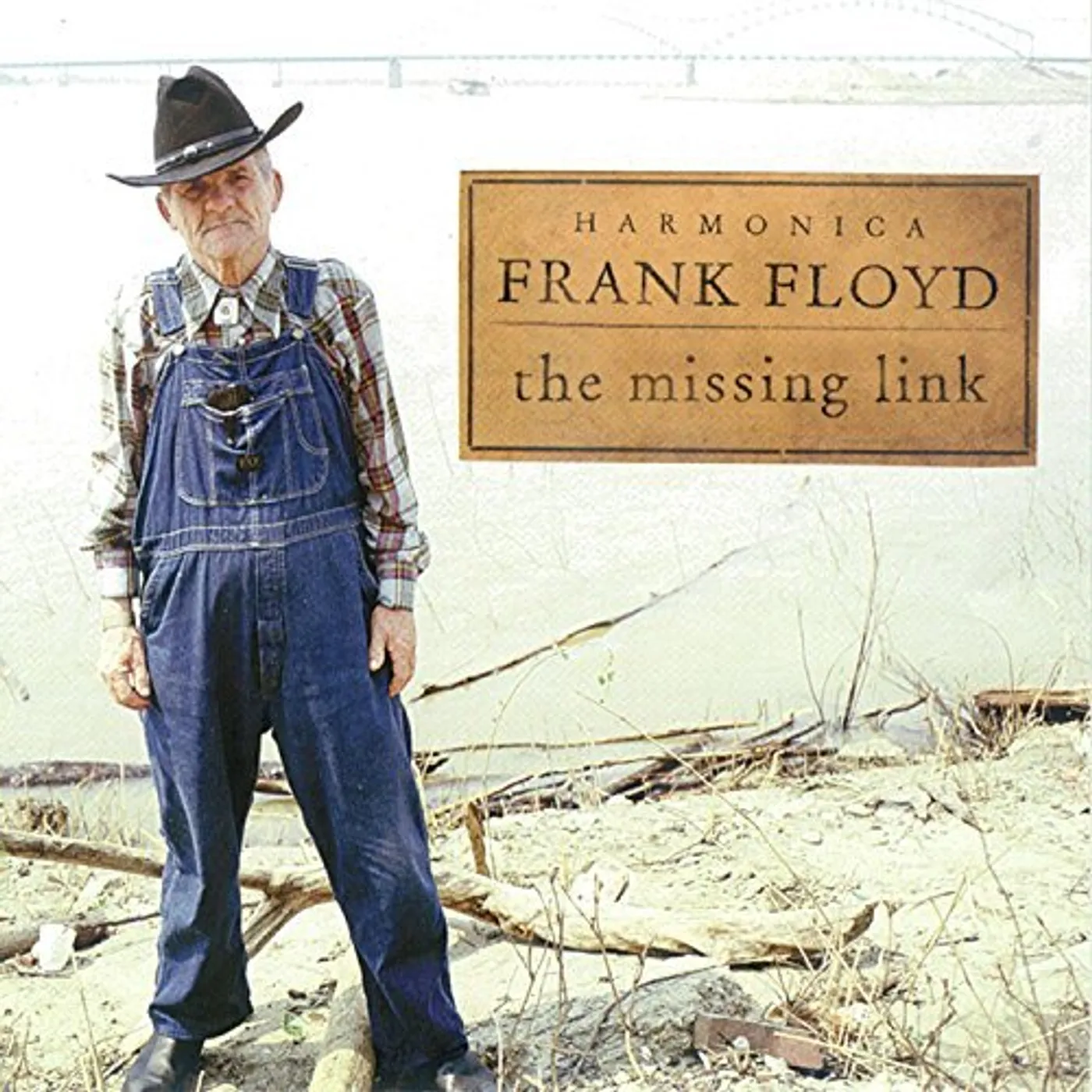 Harmonica Frank Floyd MISSING LINK CD