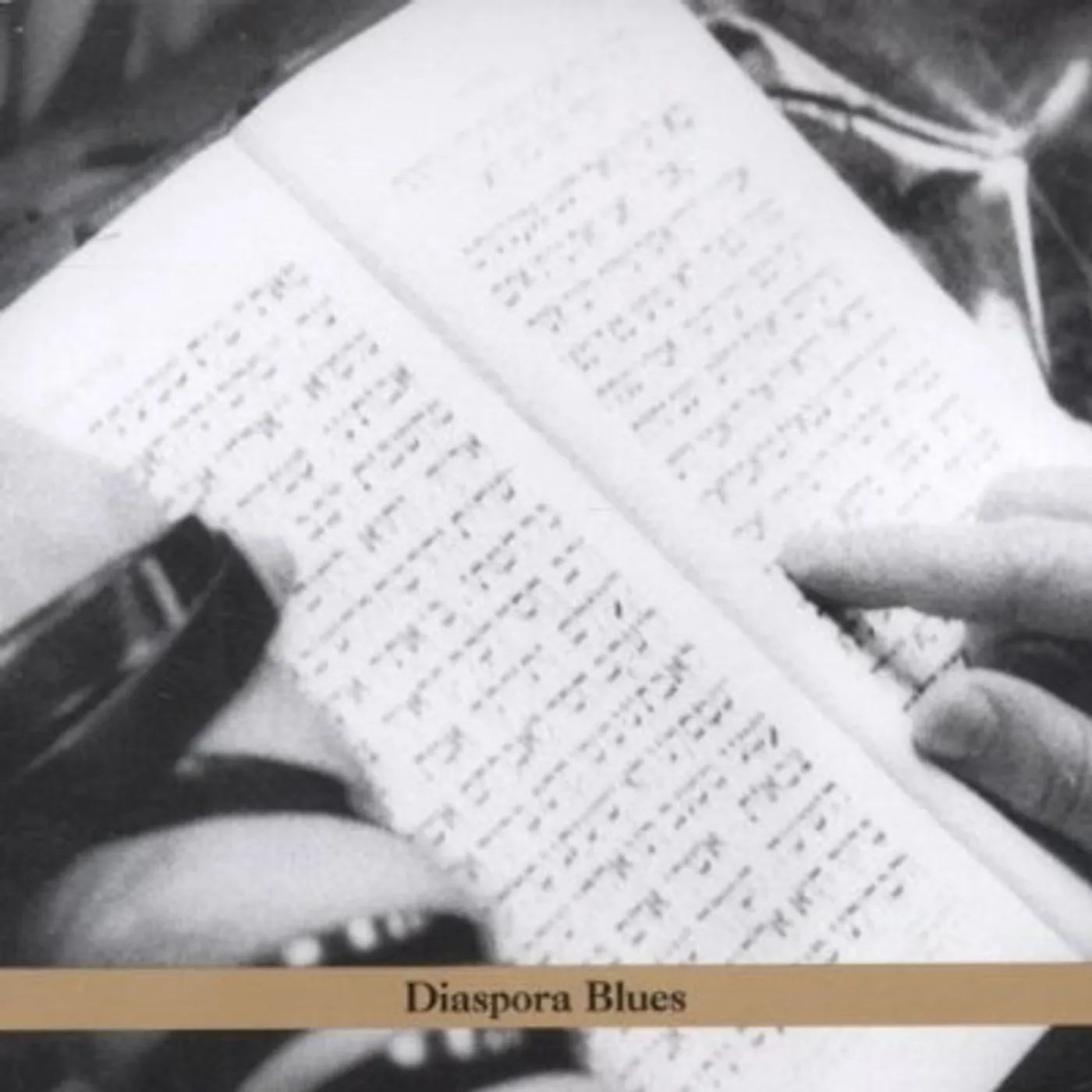 Steven Bernstein DIASPORA BLUES CD
