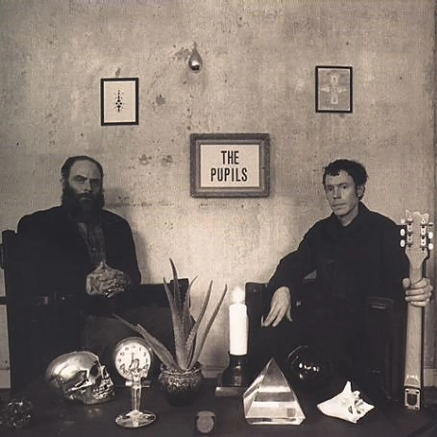 The Pupils Vinyl Record