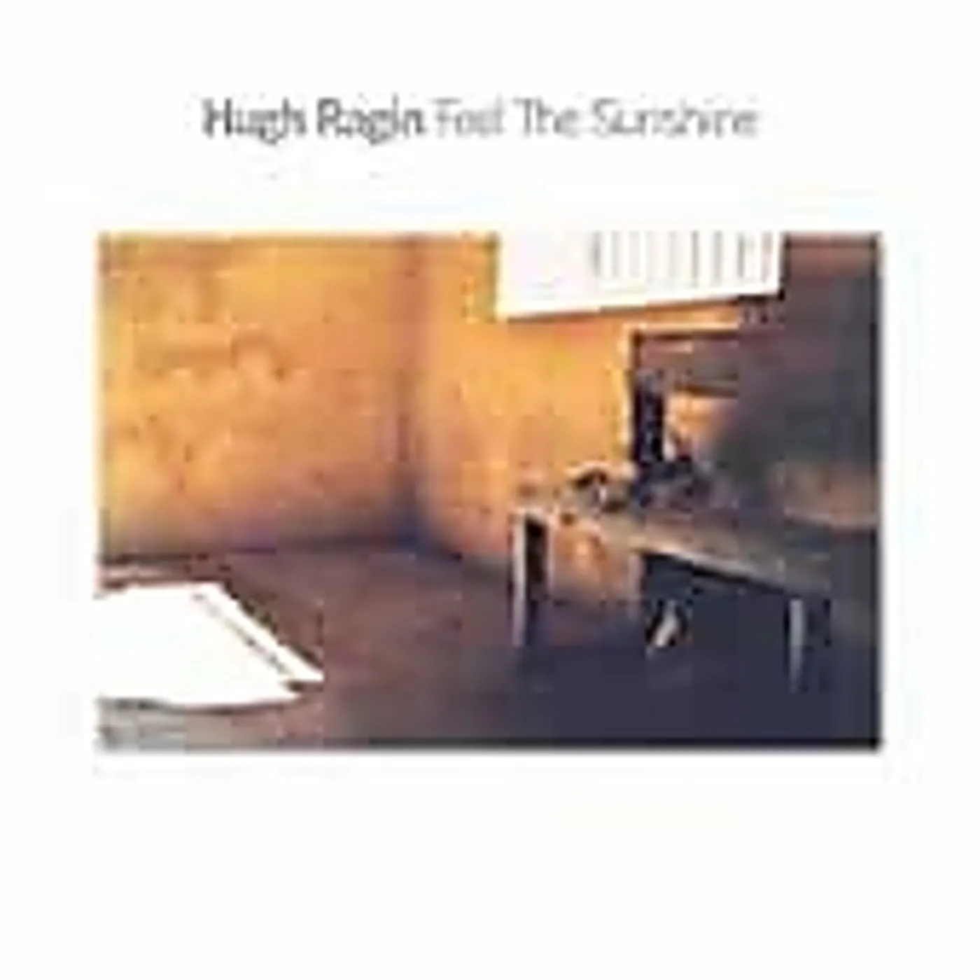 Hugh Ragin FEEL THE SUNSHINE CD