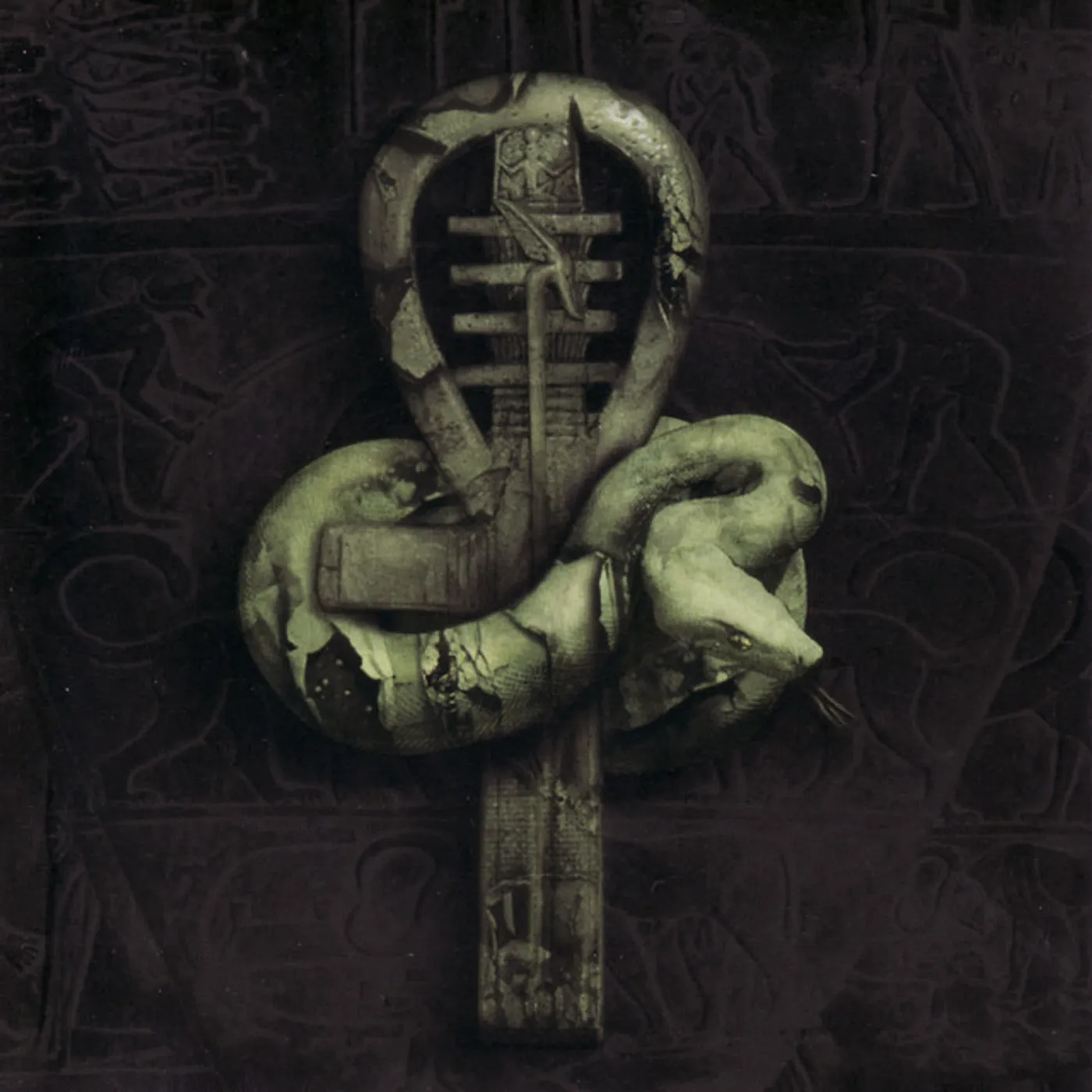 Nile In Their Darkened Shrines Vinyl Record