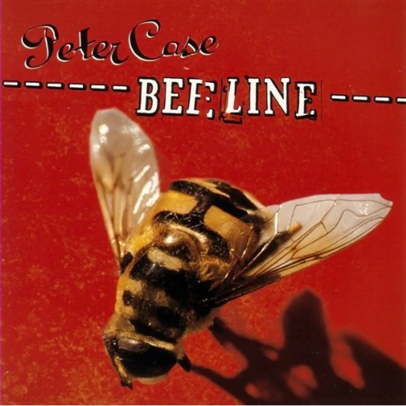 Peter Case BEELINE CD