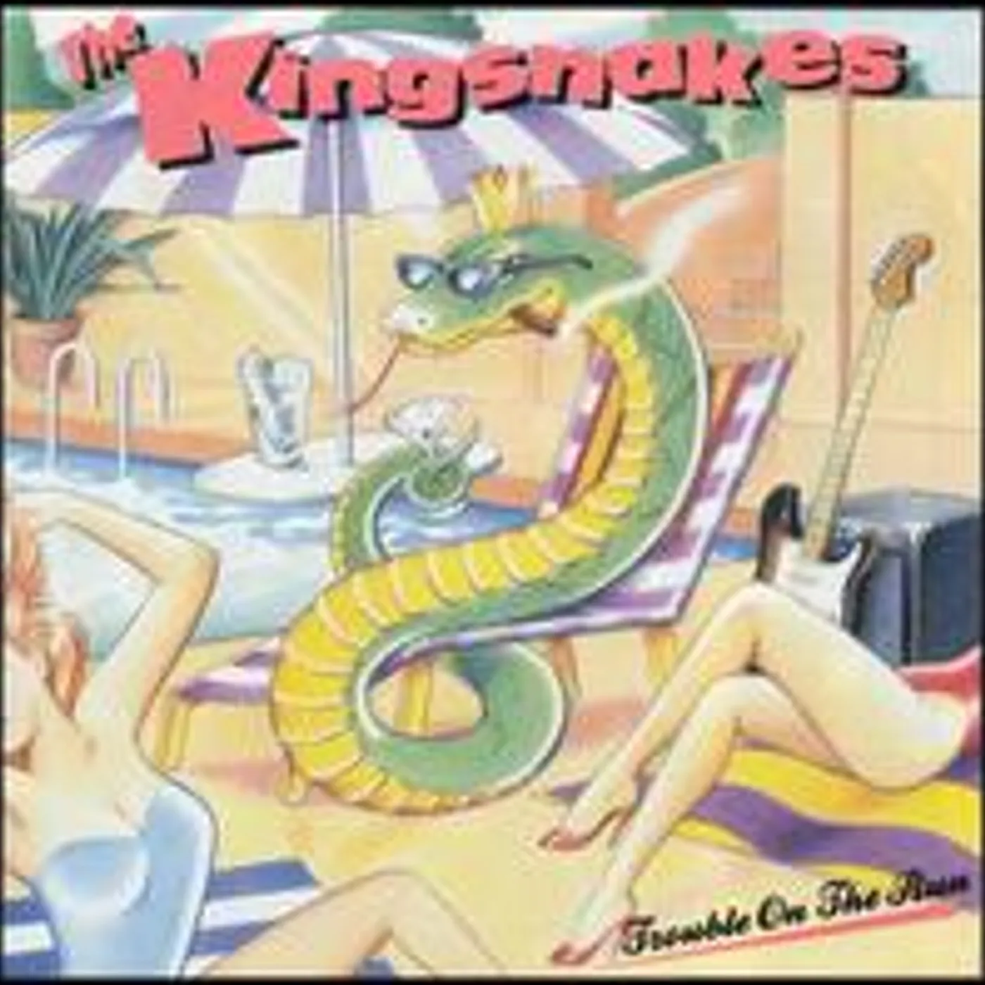The Kingsnakes TROUBLE ON THE RUN CD