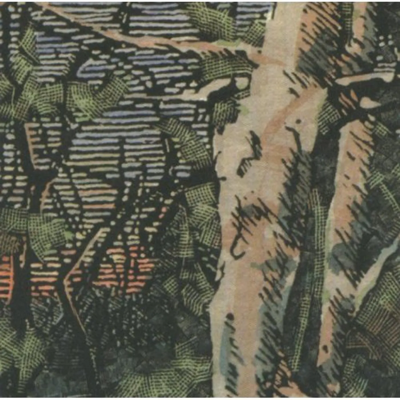 Anomoanon ASLEEP MANY YEARS IN THE WOOD CD