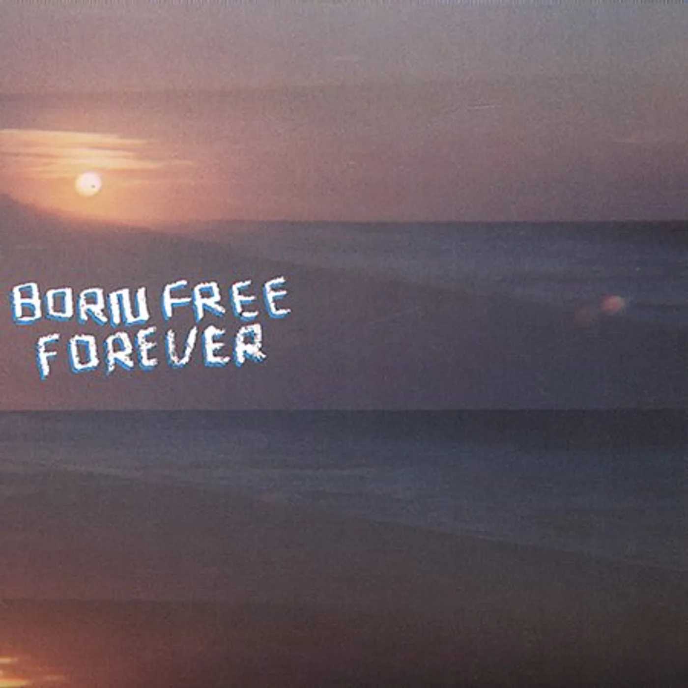 Bobby Birdman BORN FREE FOREVER CD