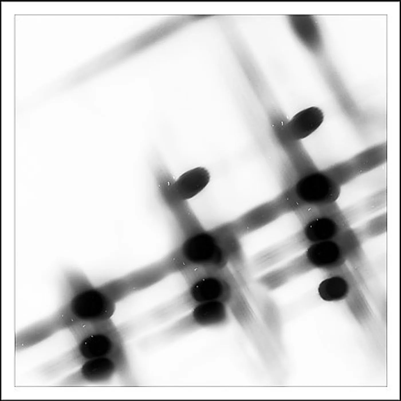 Gregor Samsa 27:36 CD