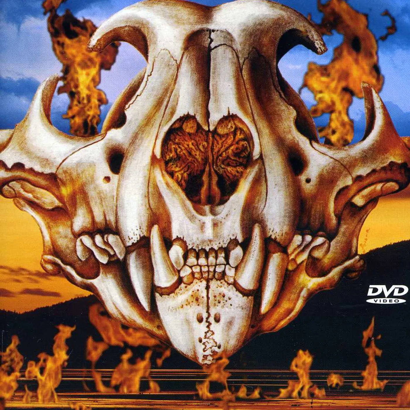 Mountain SEA OF FIRE DVD