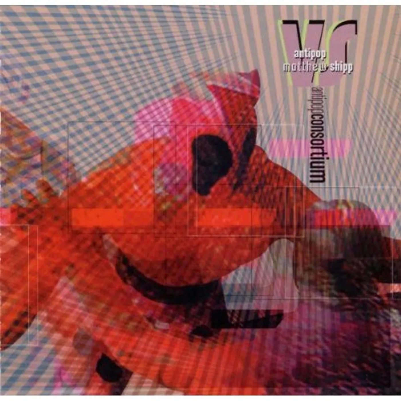 ANTI-POP CONSORTIUM VS MATTHEW SHIPP CD