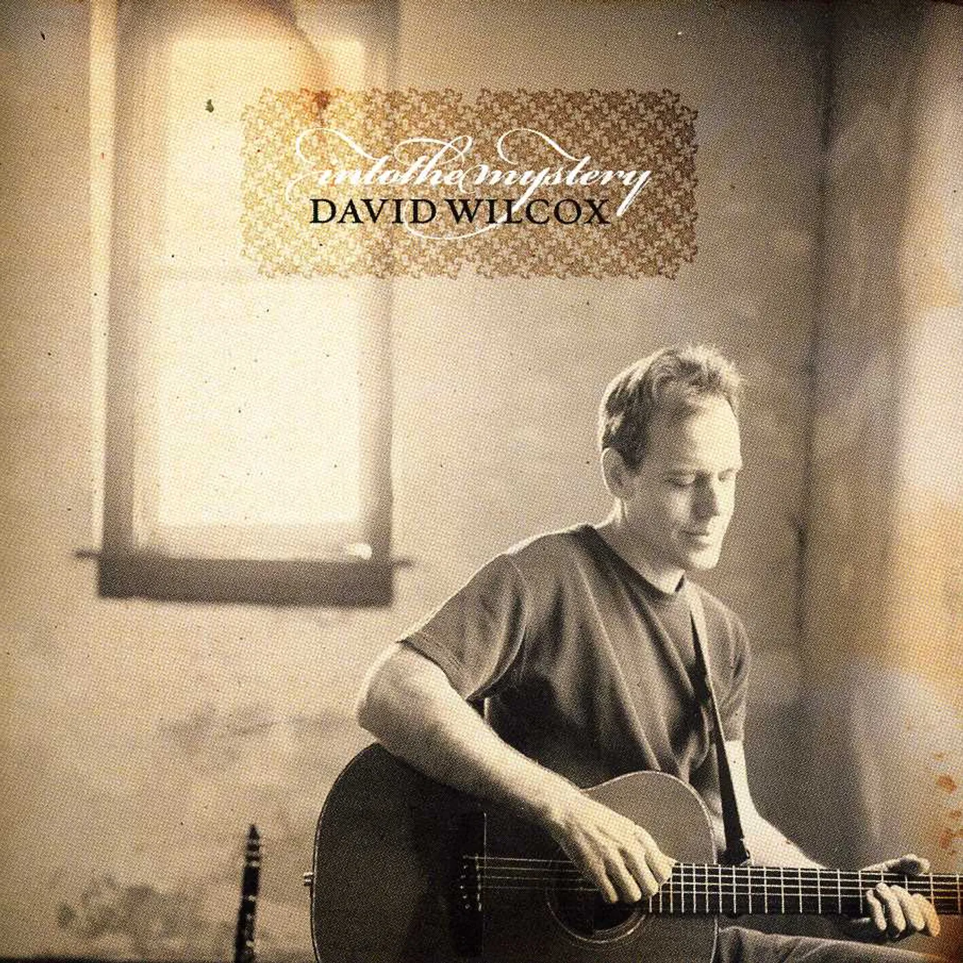 David Wilcox INTO THE MYSTERY CD