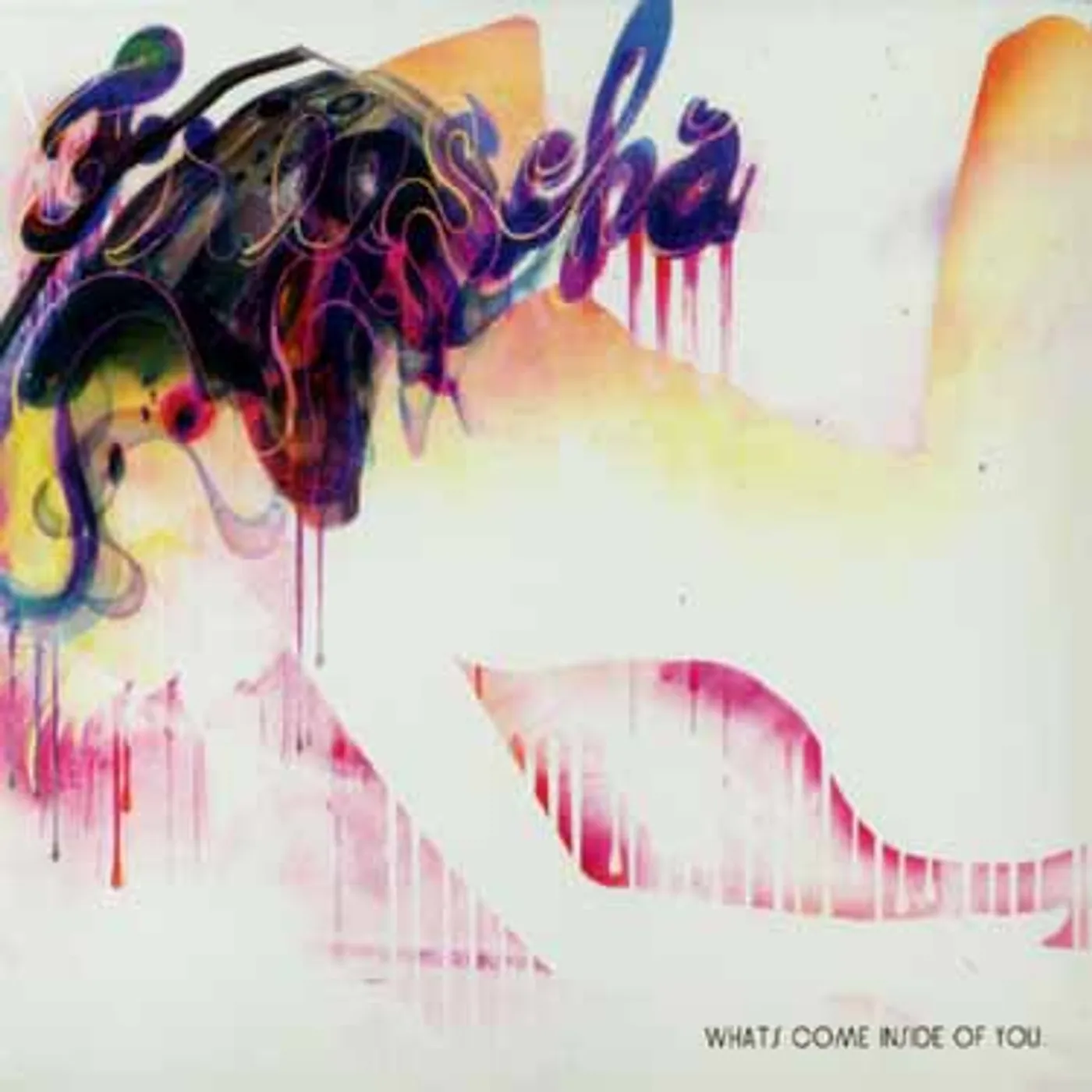 Freescha WHAT'S COME INSIDE YOU CD