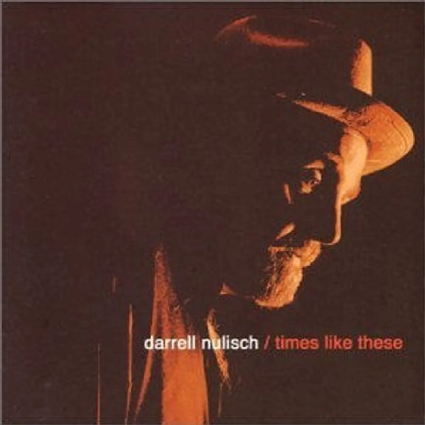 Darrell Nulisch TIMES LIKE THESE CD