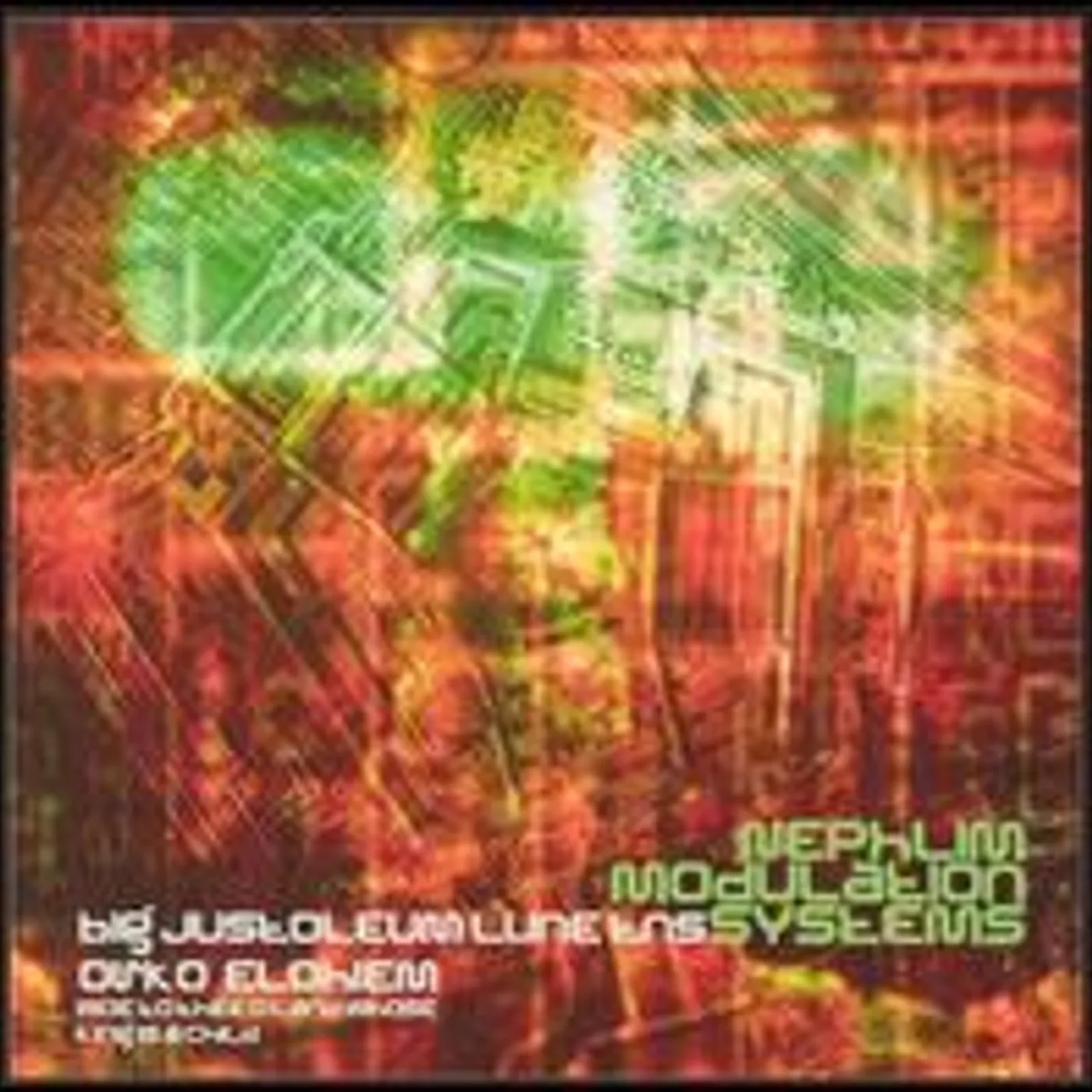 Big Jus / Nephlim Modulation Sessions WOE TO THEE O LAND WHEN THY KING IS A CHILD Vinyl Record