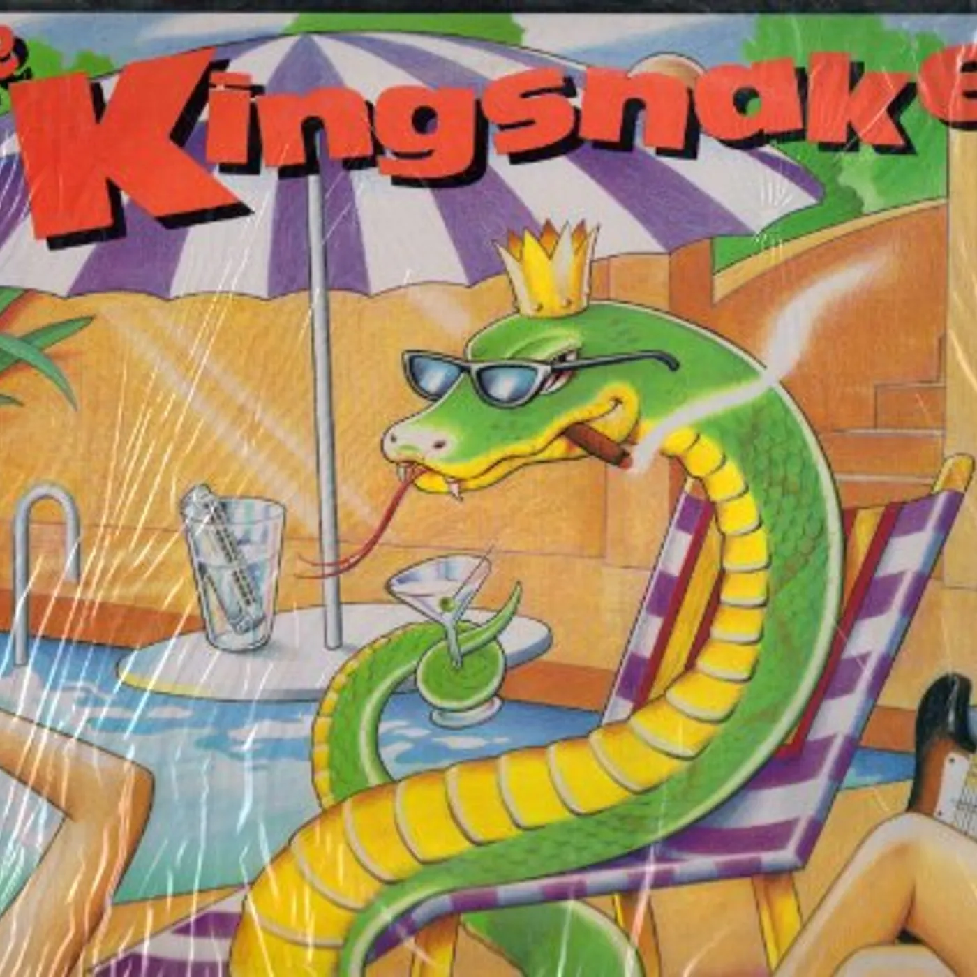 The Kingsnakes Trouble On The Run Vinyl Record