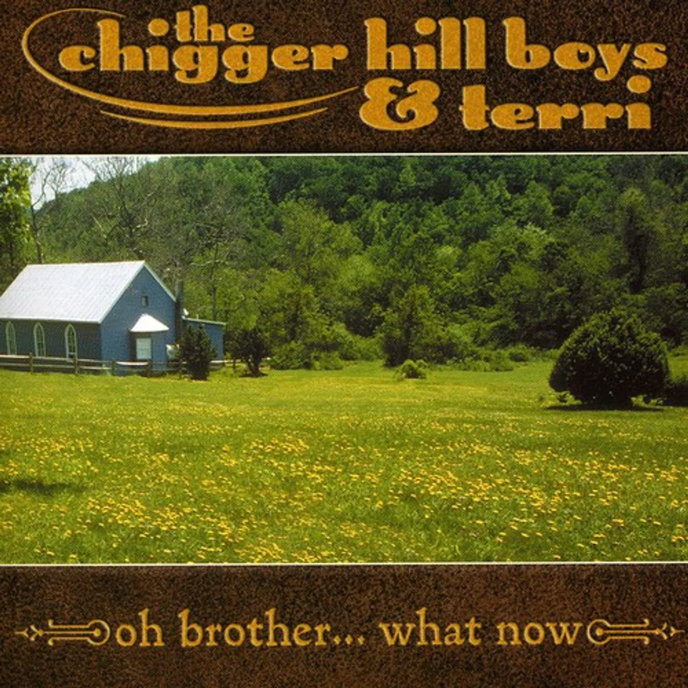 Chigger Hill Boys & Terri OH BROTHER WHAT NOW CD