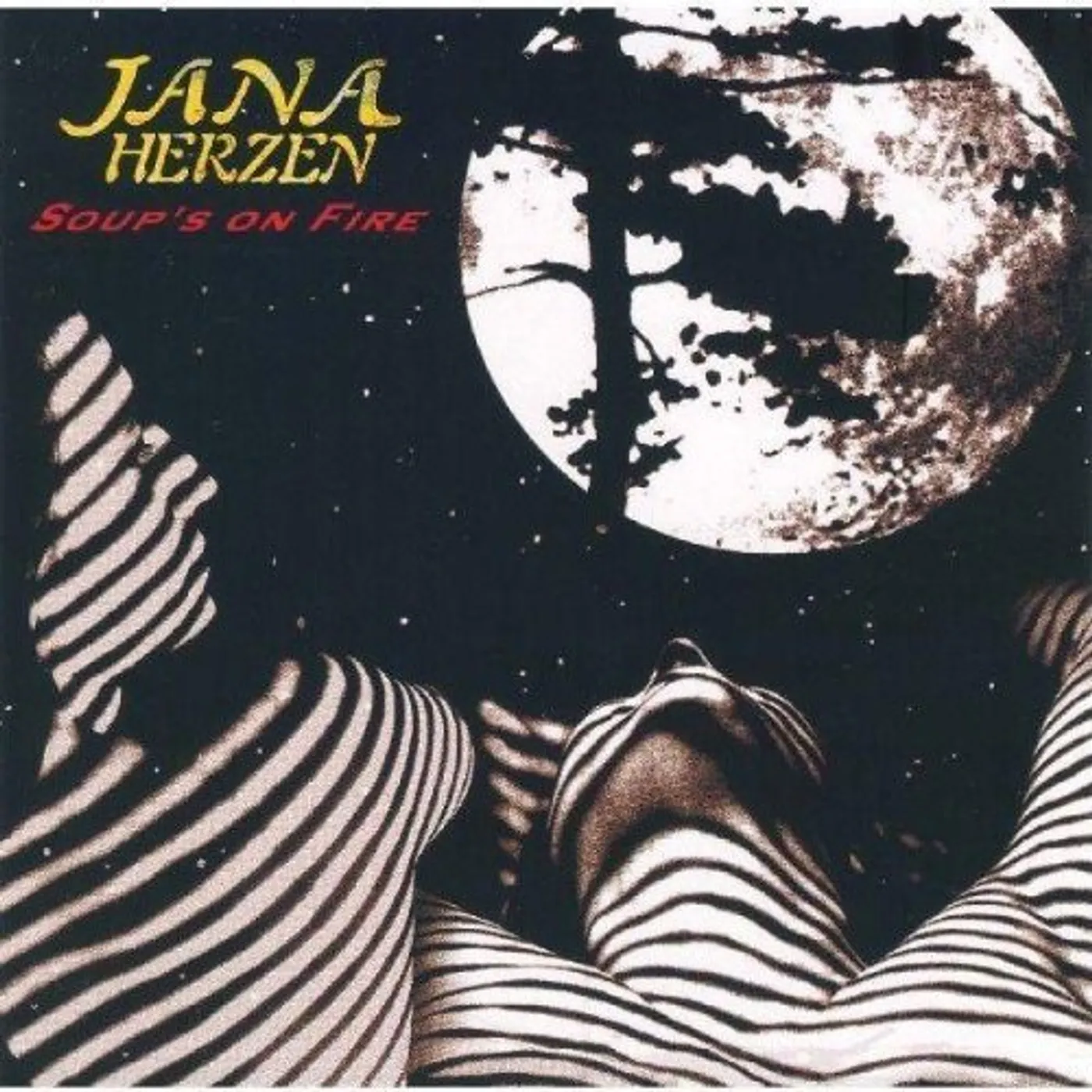 Jana Herzen SOUP'S ON FIRE CD