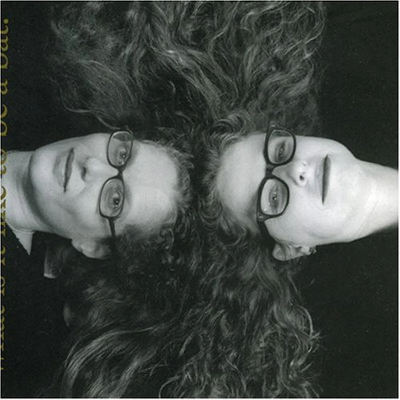 Kitty Brazelton WHAT IS IT LIKE TO BE A BAT CD