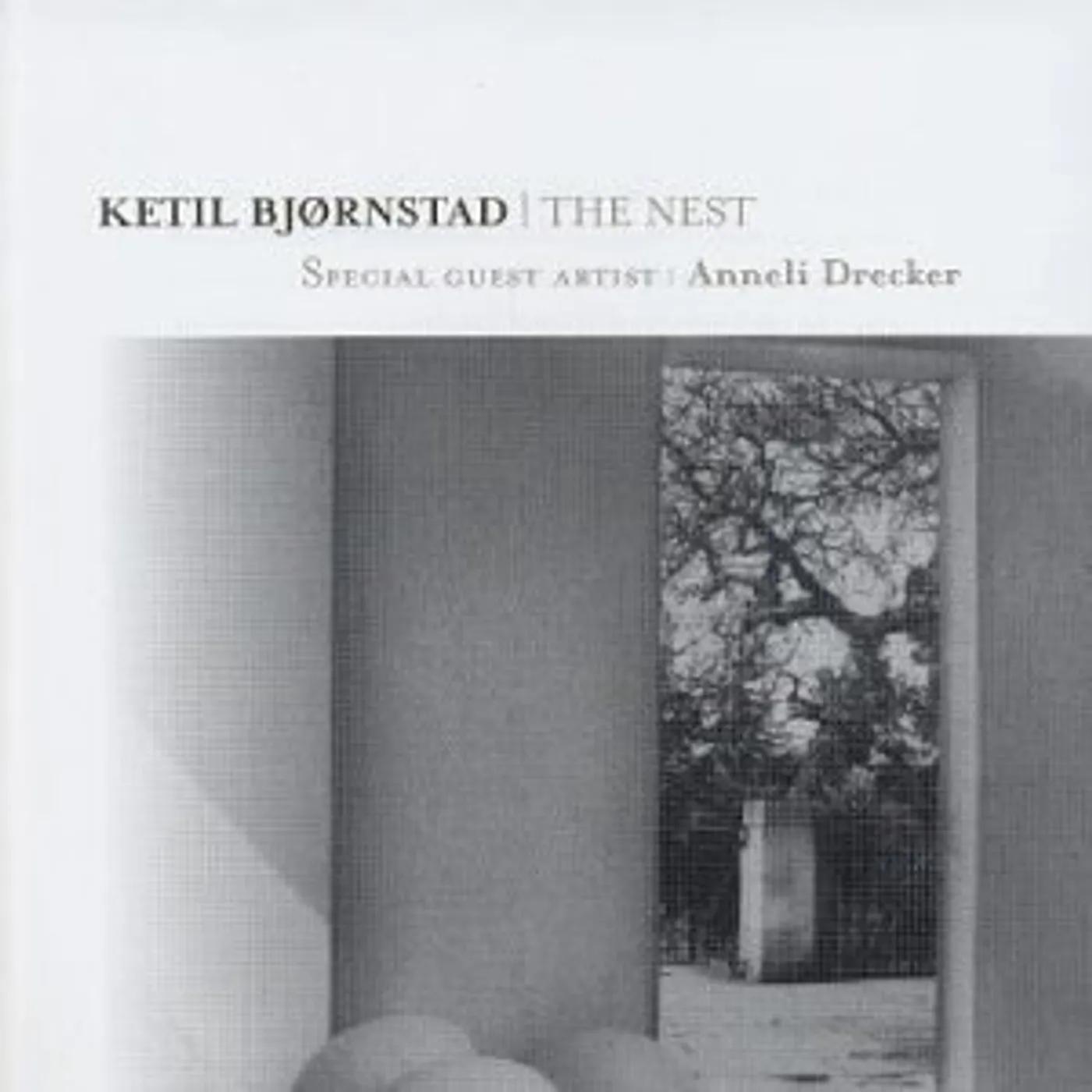 Ketil Bjørnstad NEST CD