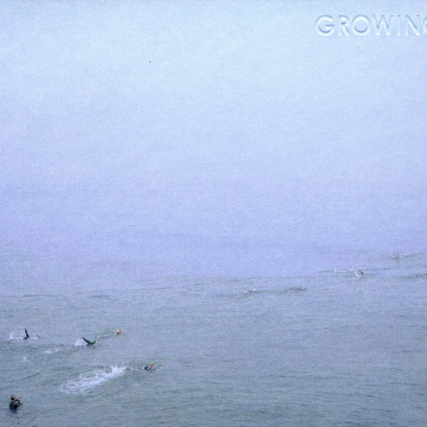 Growing SKY'S RUN INTO THE SEA CD