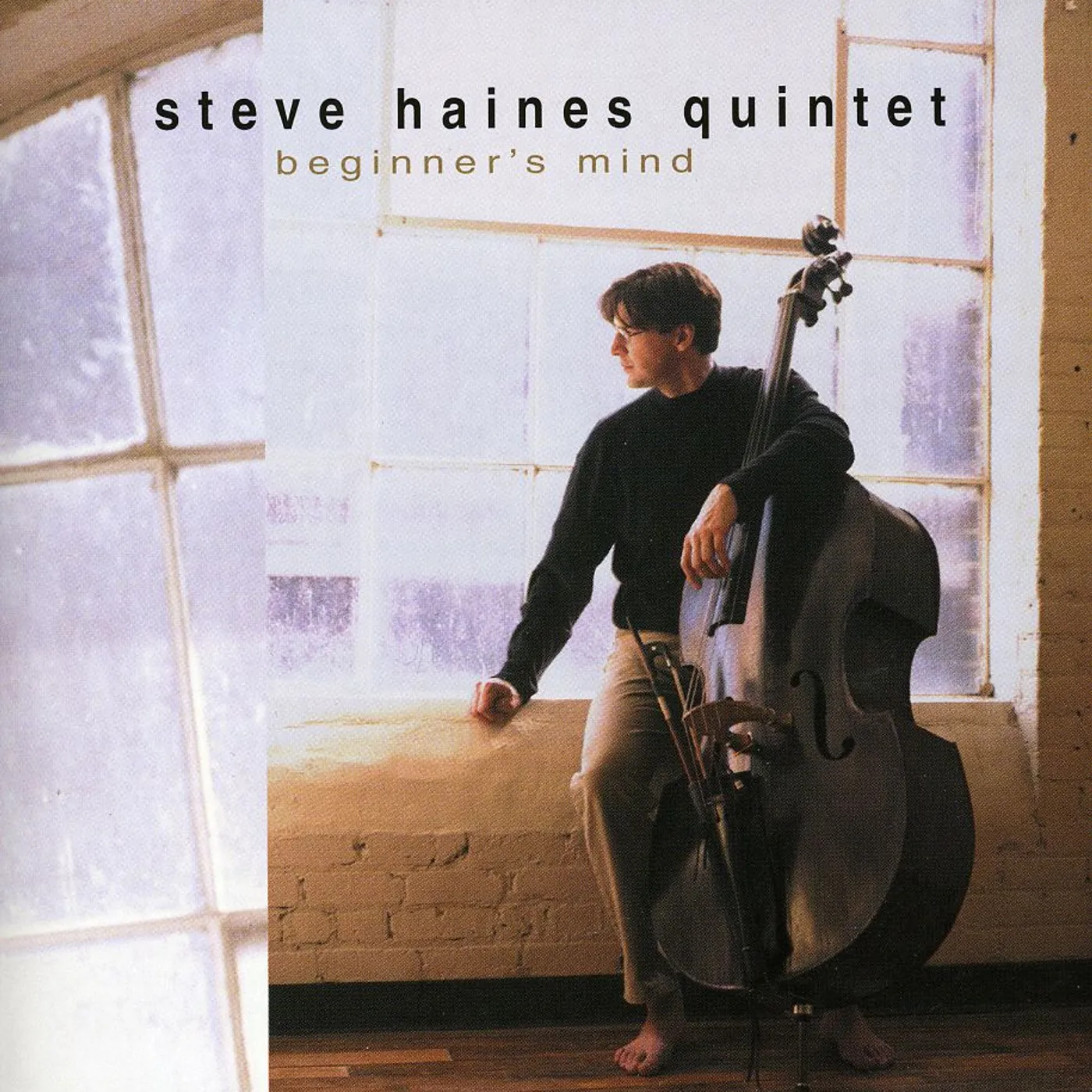 Steve Haines BEGINNERS MIND CD
