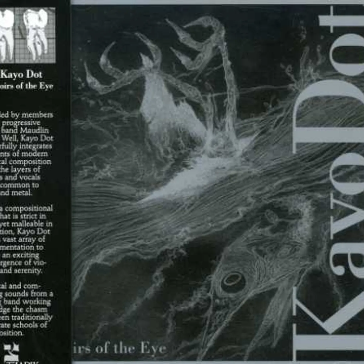 Kayo Dot CHOIRS OF THE EYE CD