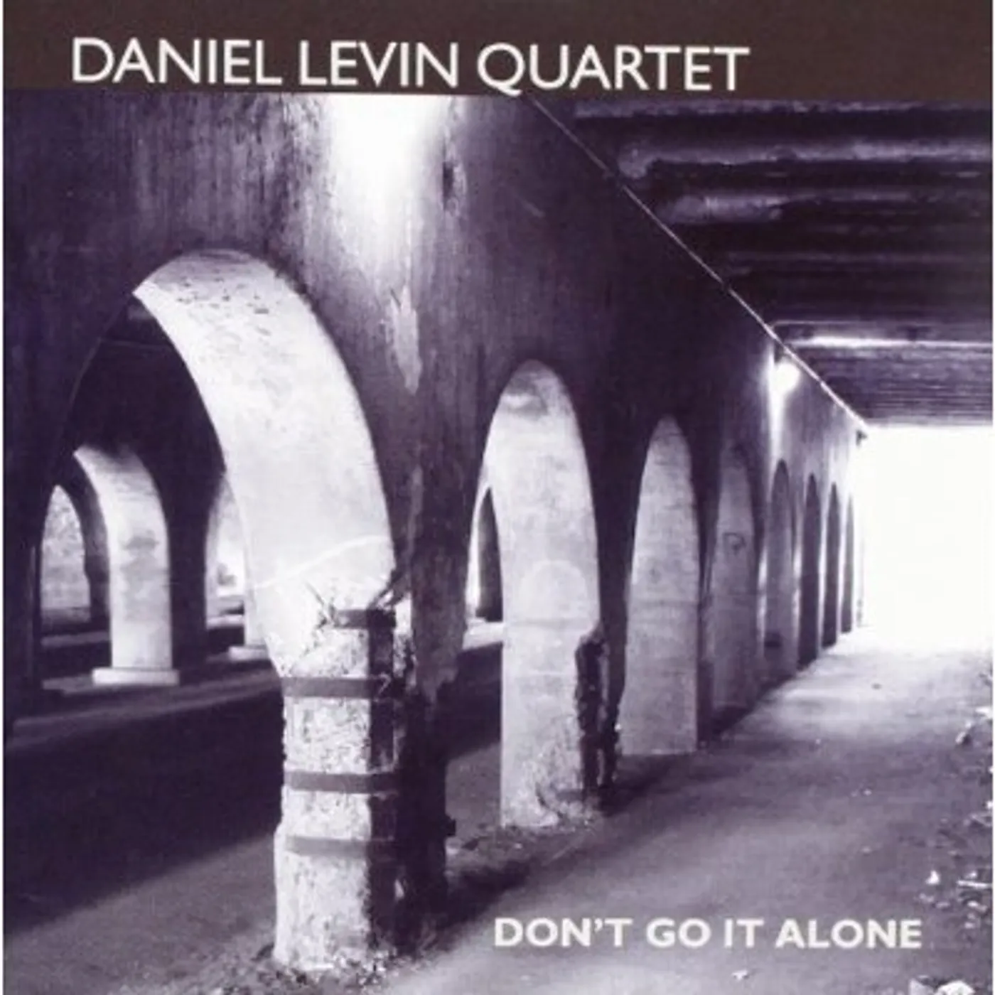 Daniel Levin DON'T GO IT ALONE CD