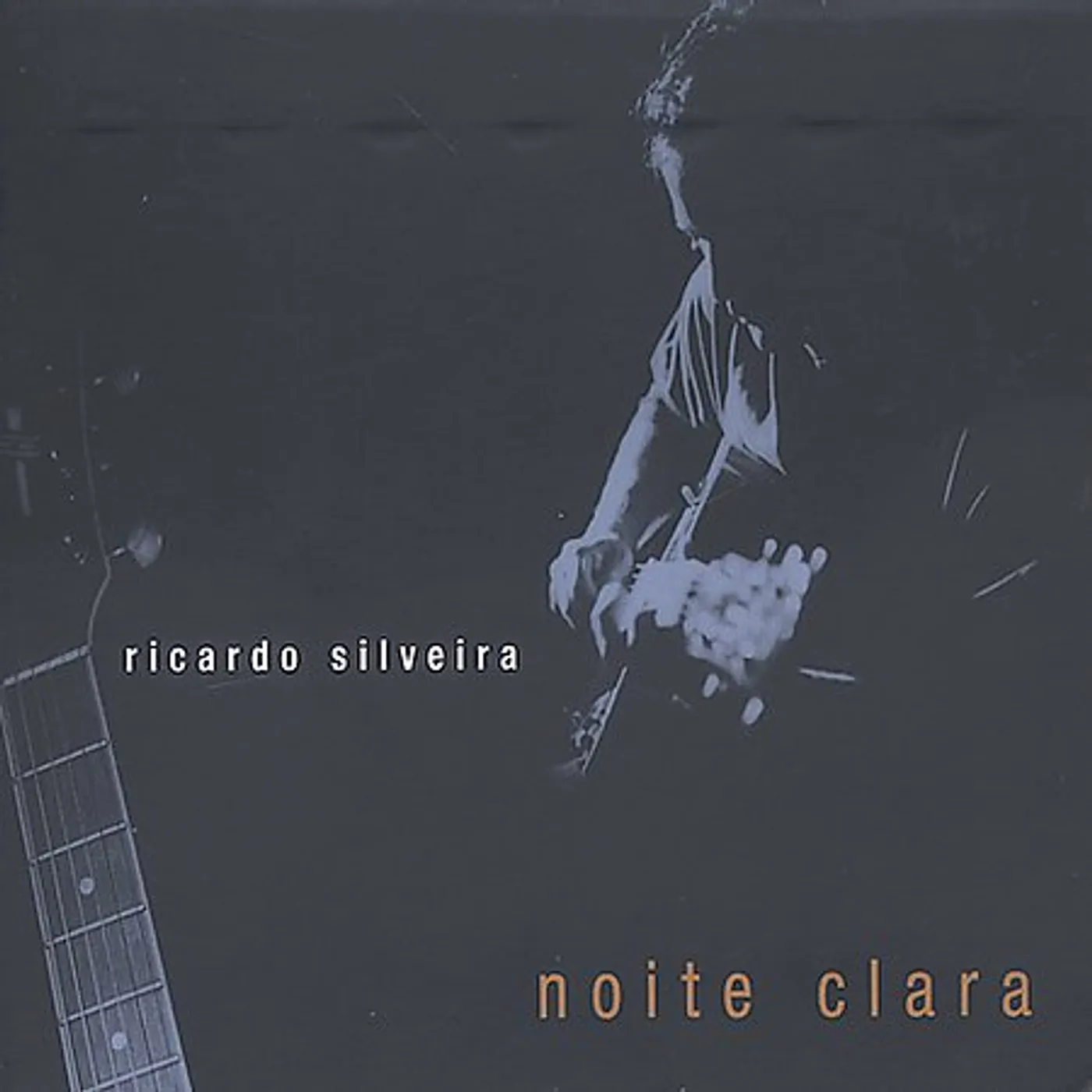 Ricardo Silveira NOITE CLARA CD