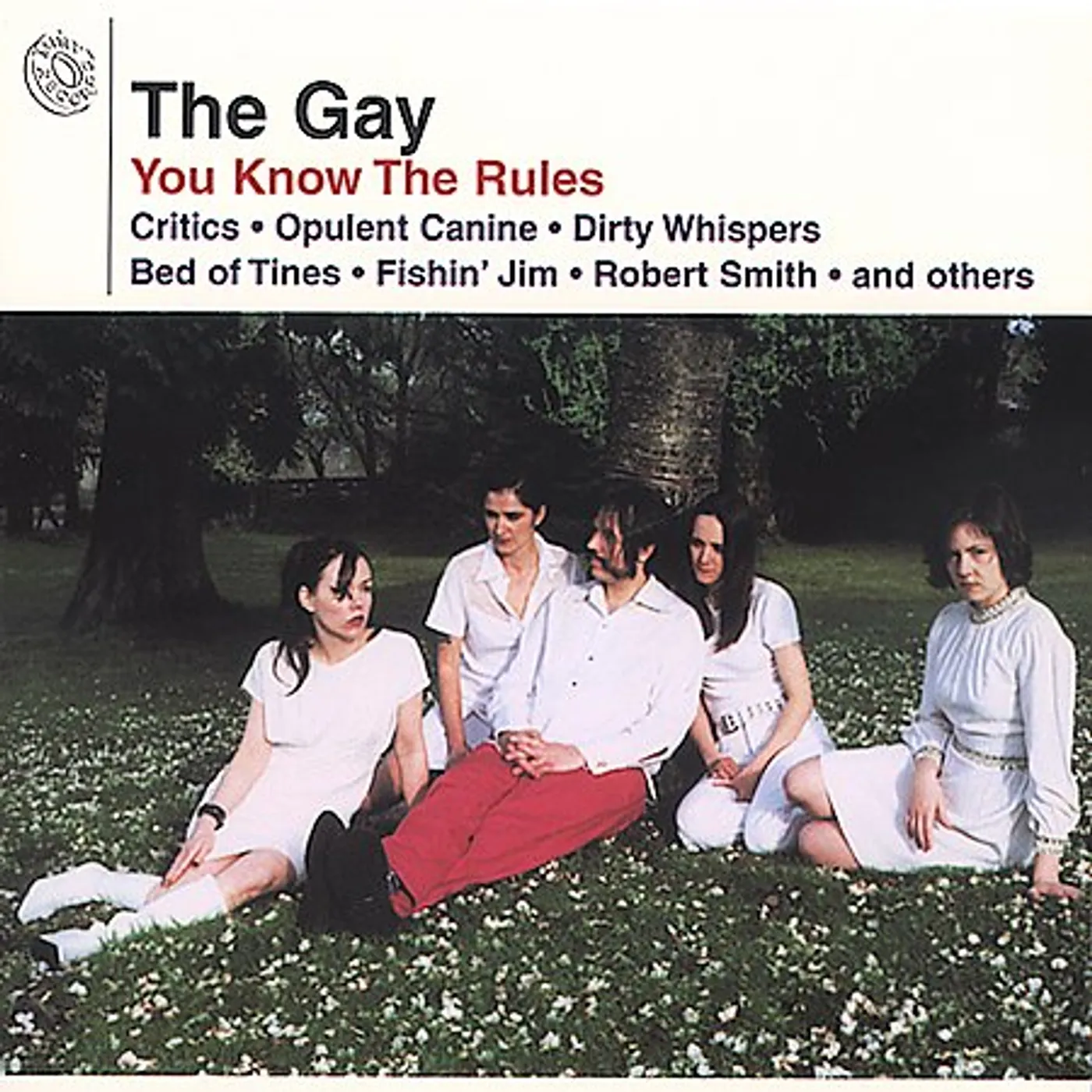 Gay You know the Rules Vinyl Record