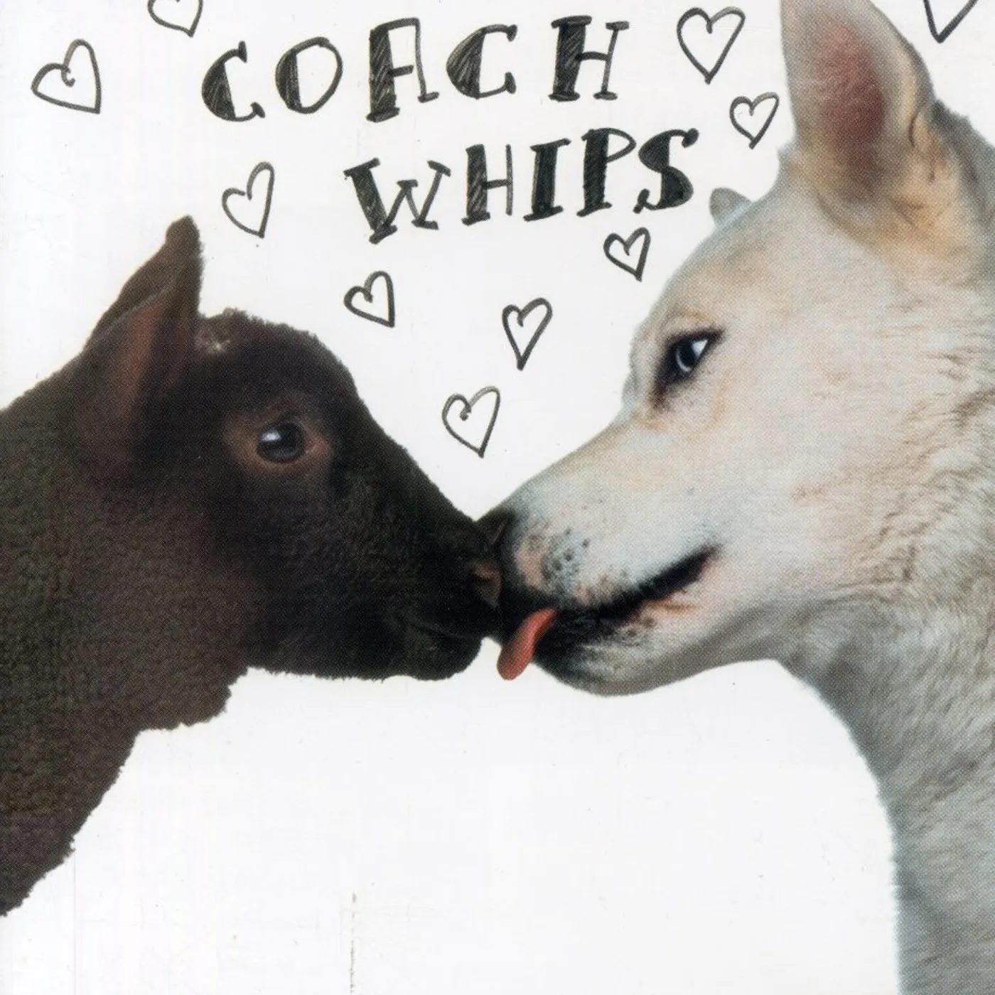 Coachwhips BANGERS VERSUS FUCKERS CD