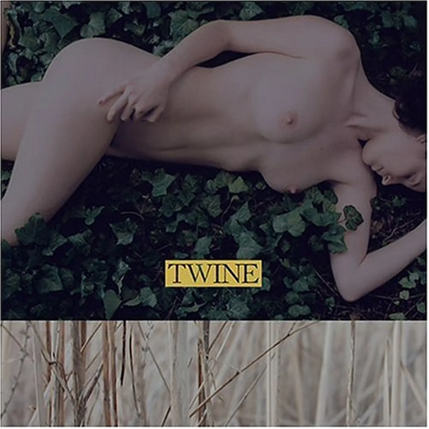 Twine CD