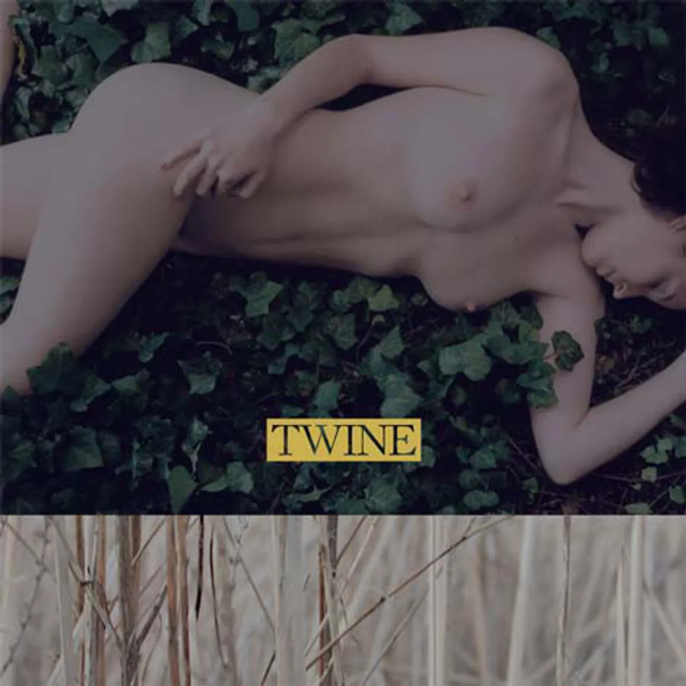 Twine Vinyl Record