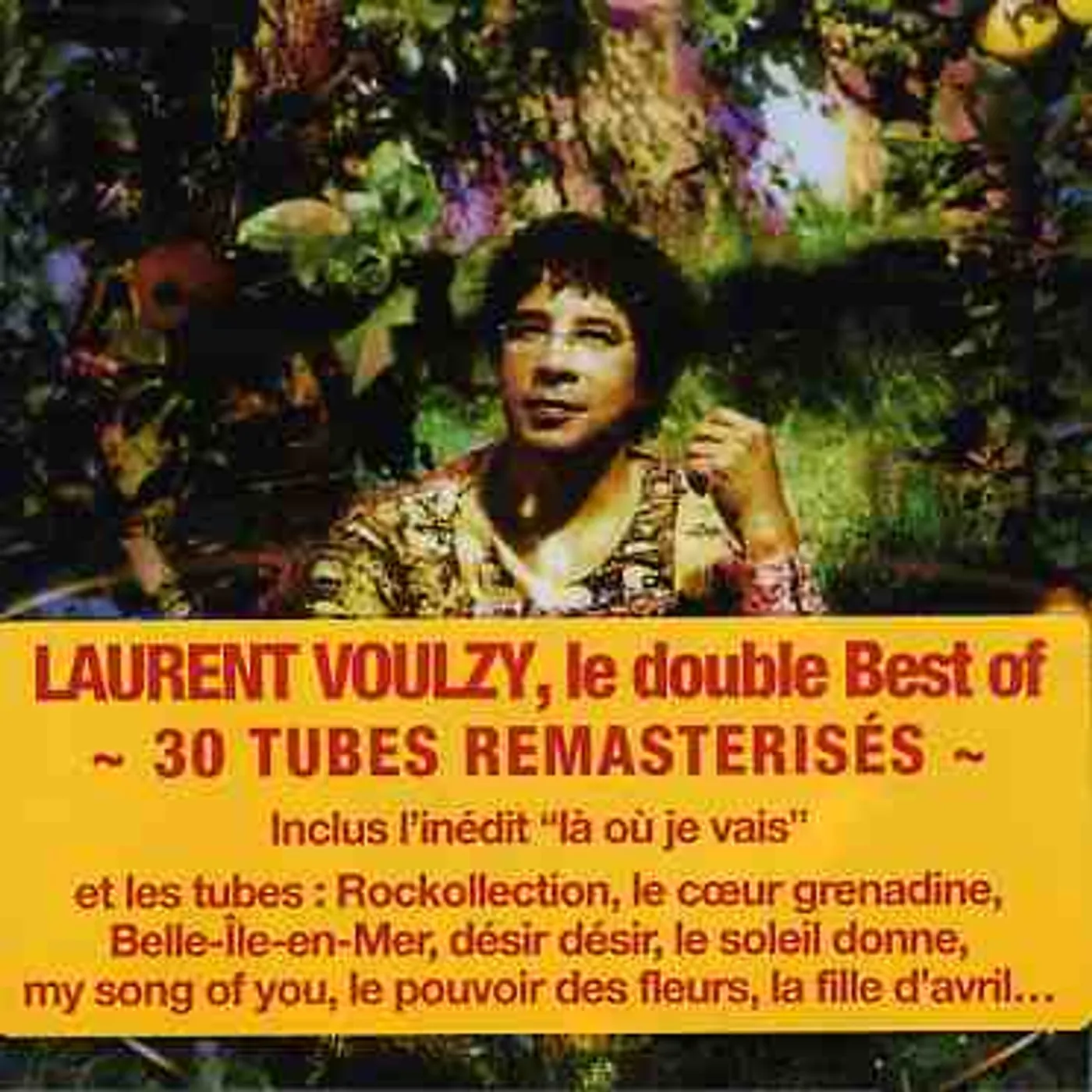 Laurent Voulzy SAISONS: BEST OF CD