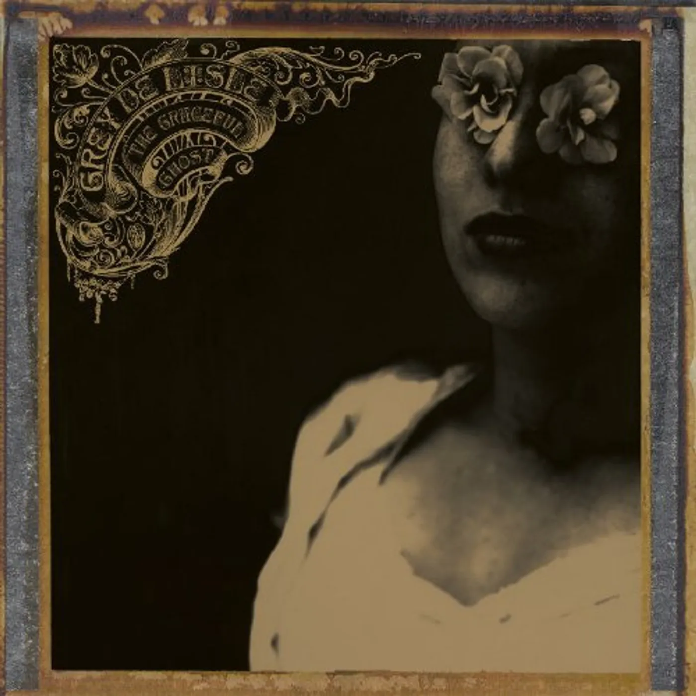 Grey DeLisle GRACEFUL GHOST CD