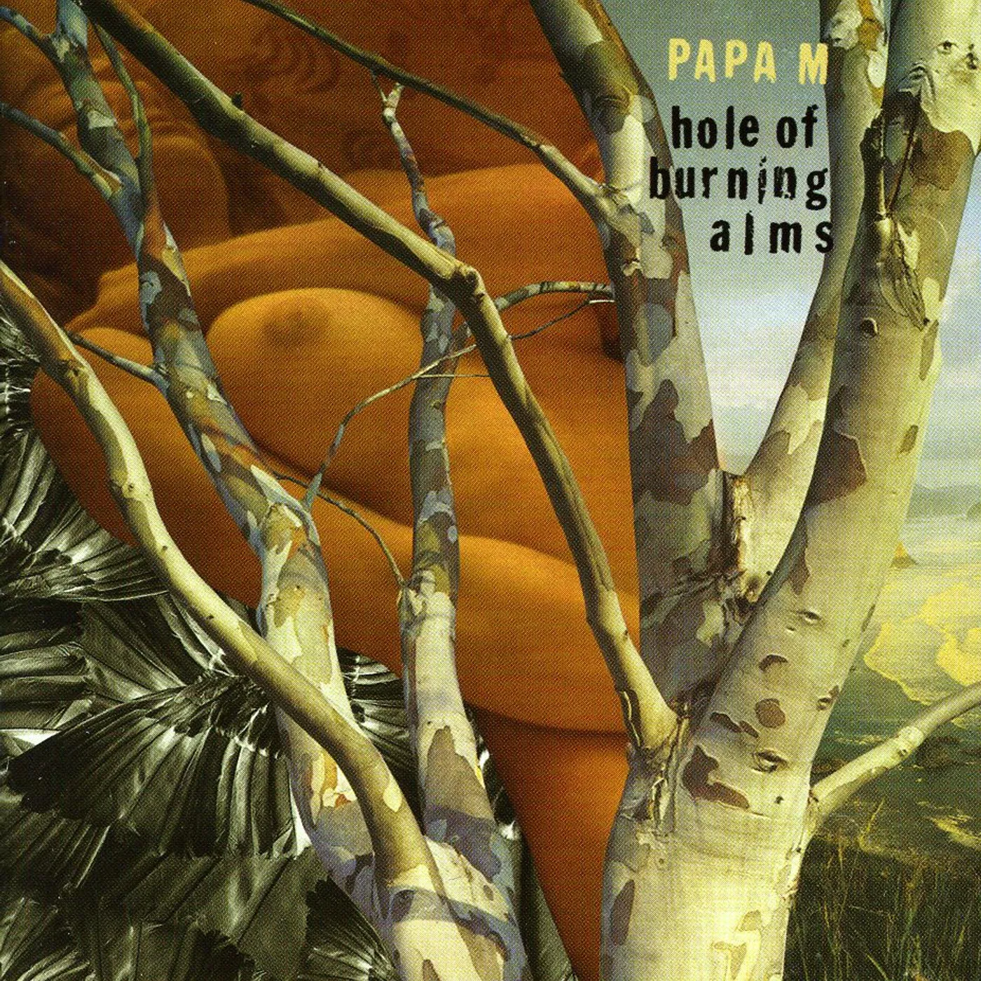 Papa M HOLE OF BURNING ALMS CD