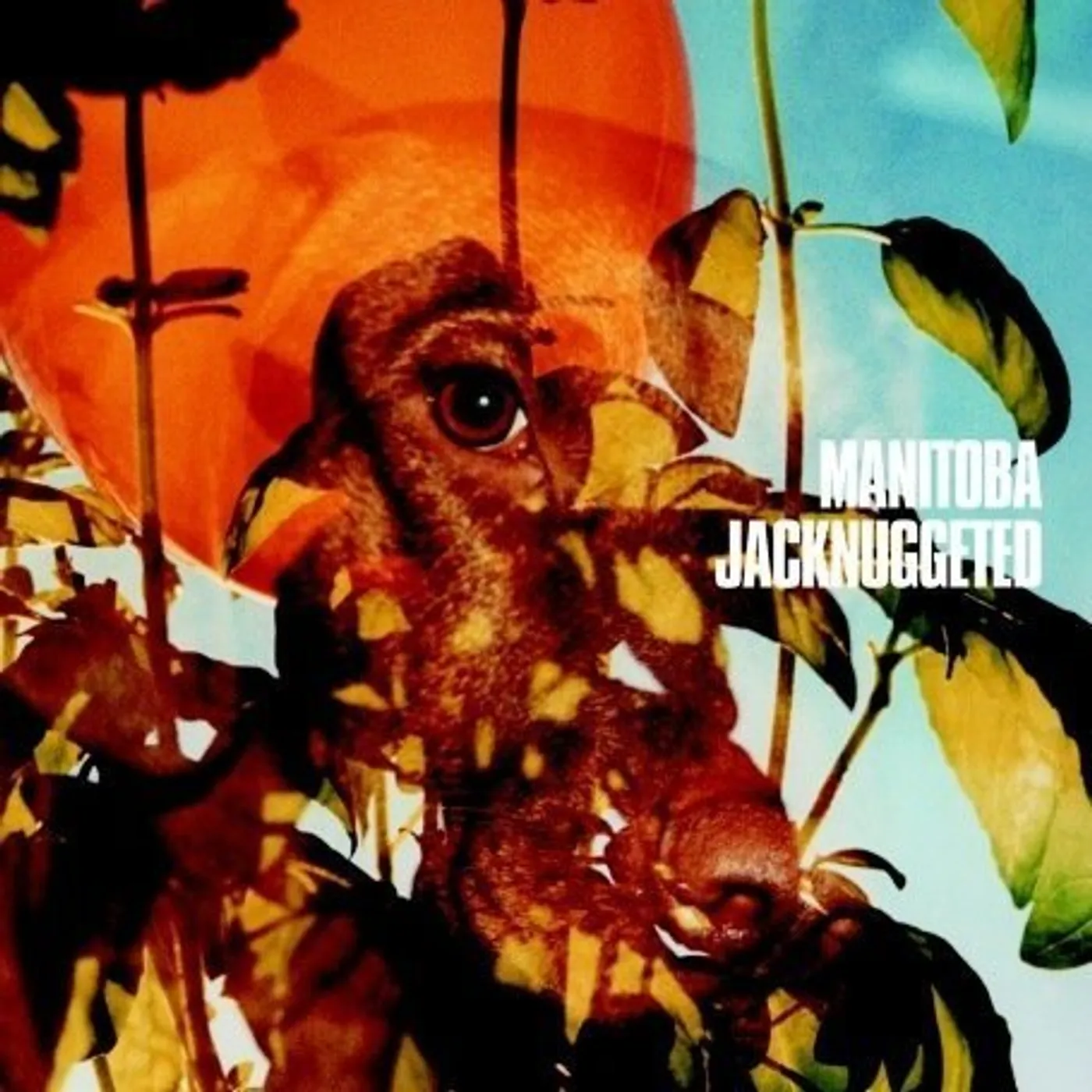 Manitoba Jacknuggeted Vinyl Record