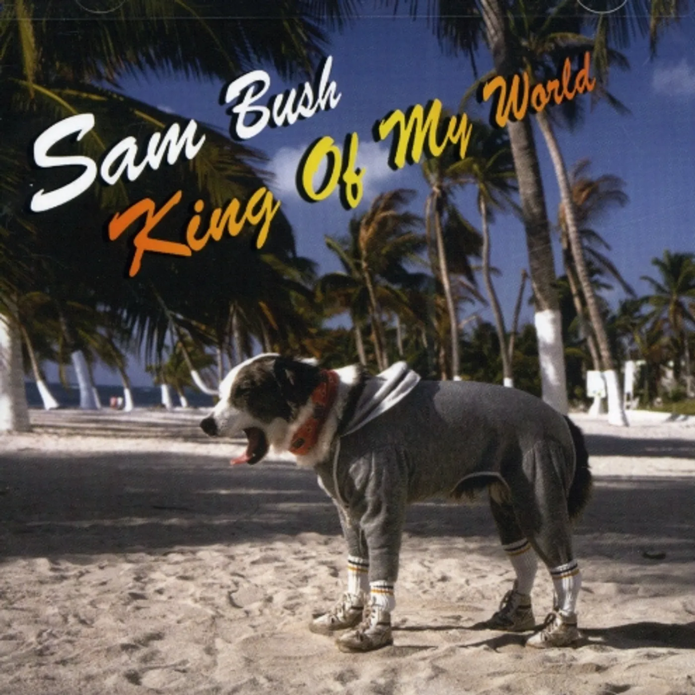 Sam Bush KING OF MY WORLD CD