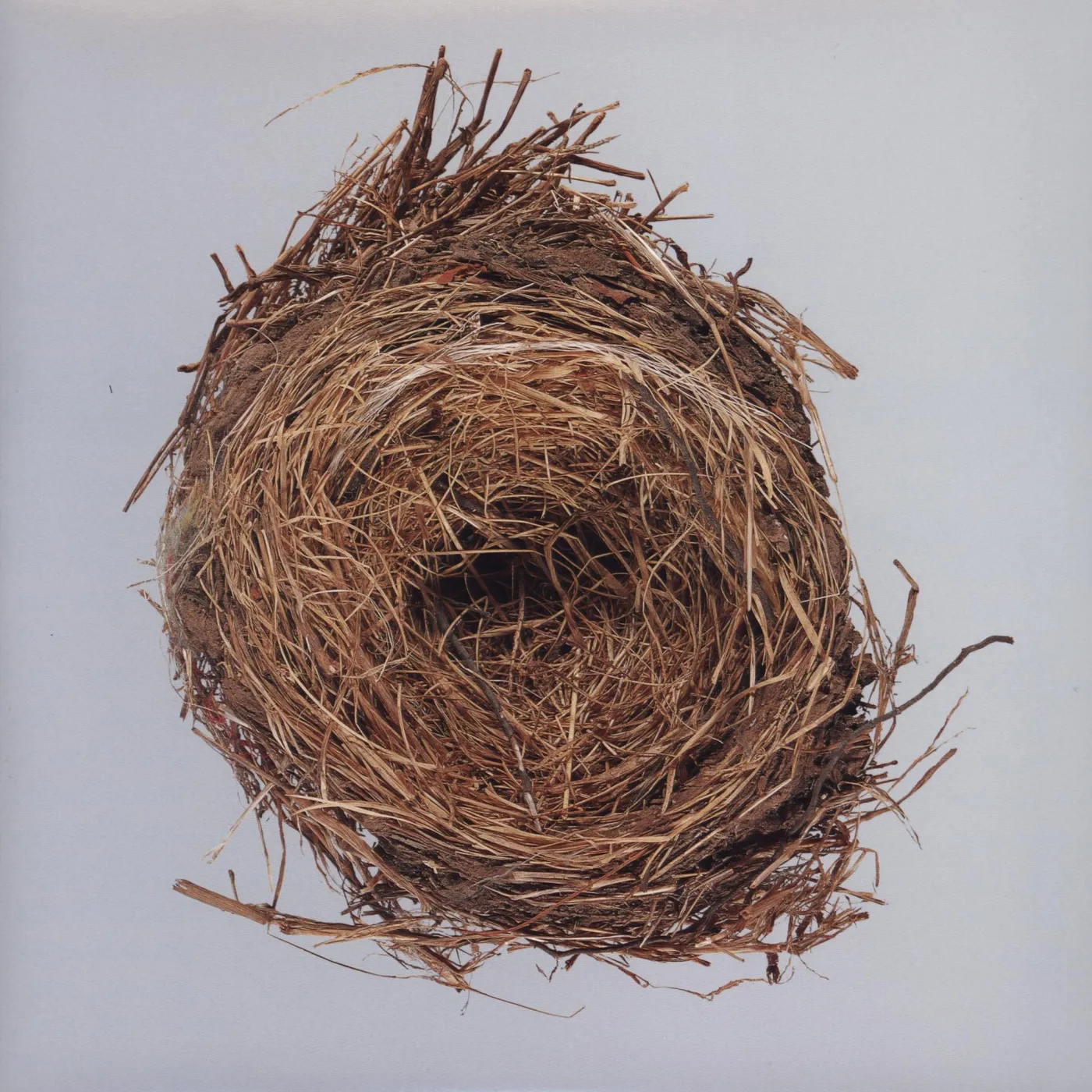Wilco A ghost is born Vinyl Record