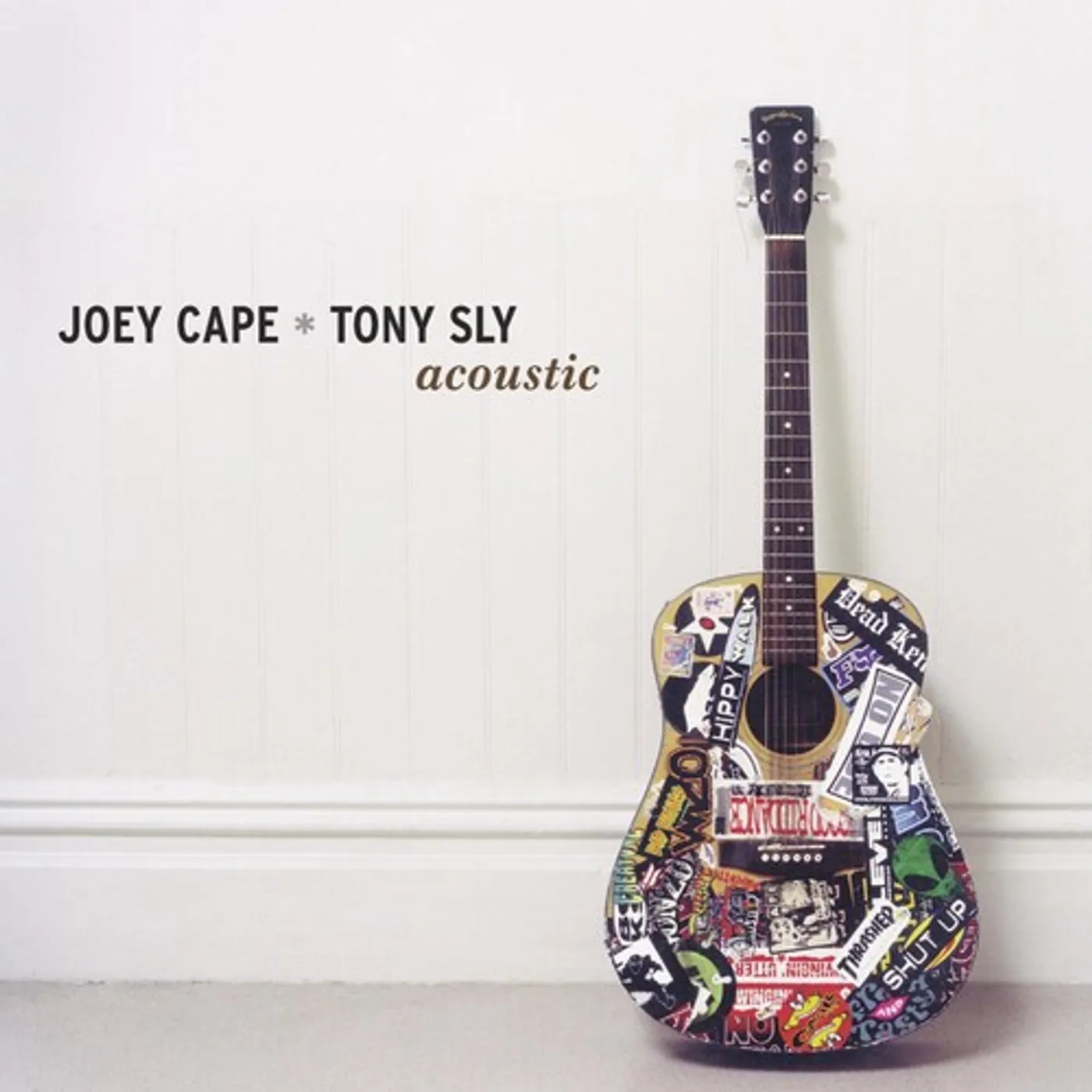 No Use For A Name Acoustic Vinyl Record