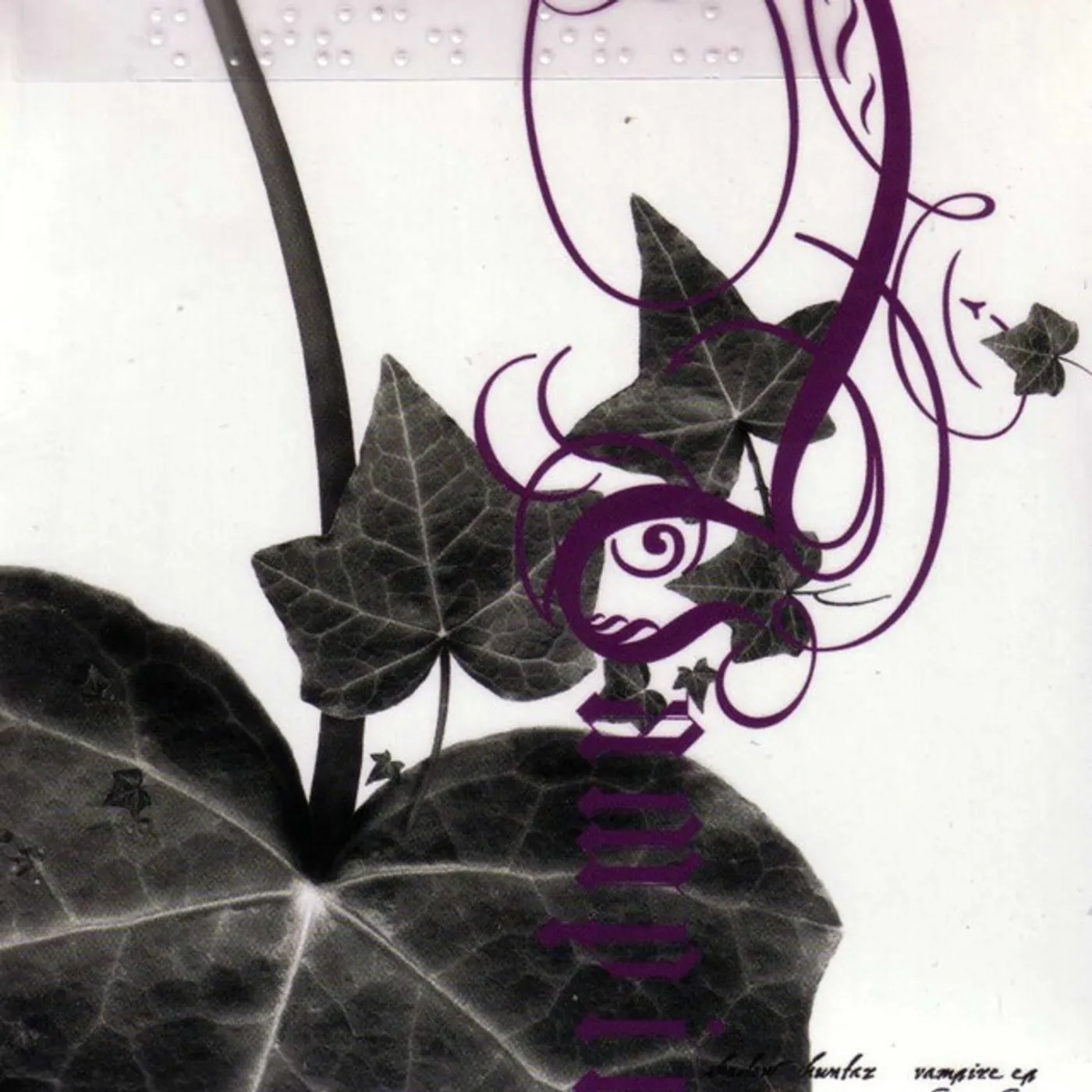Shadow Huntaz Vampire Vinyl Record