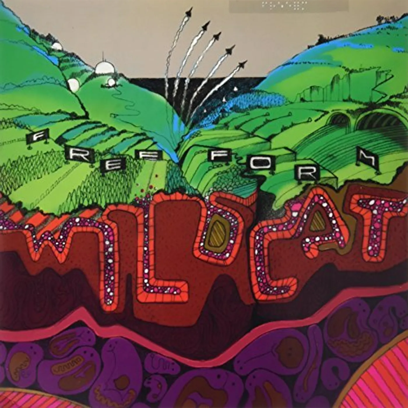 Freeform Wildcat Vinyl Record