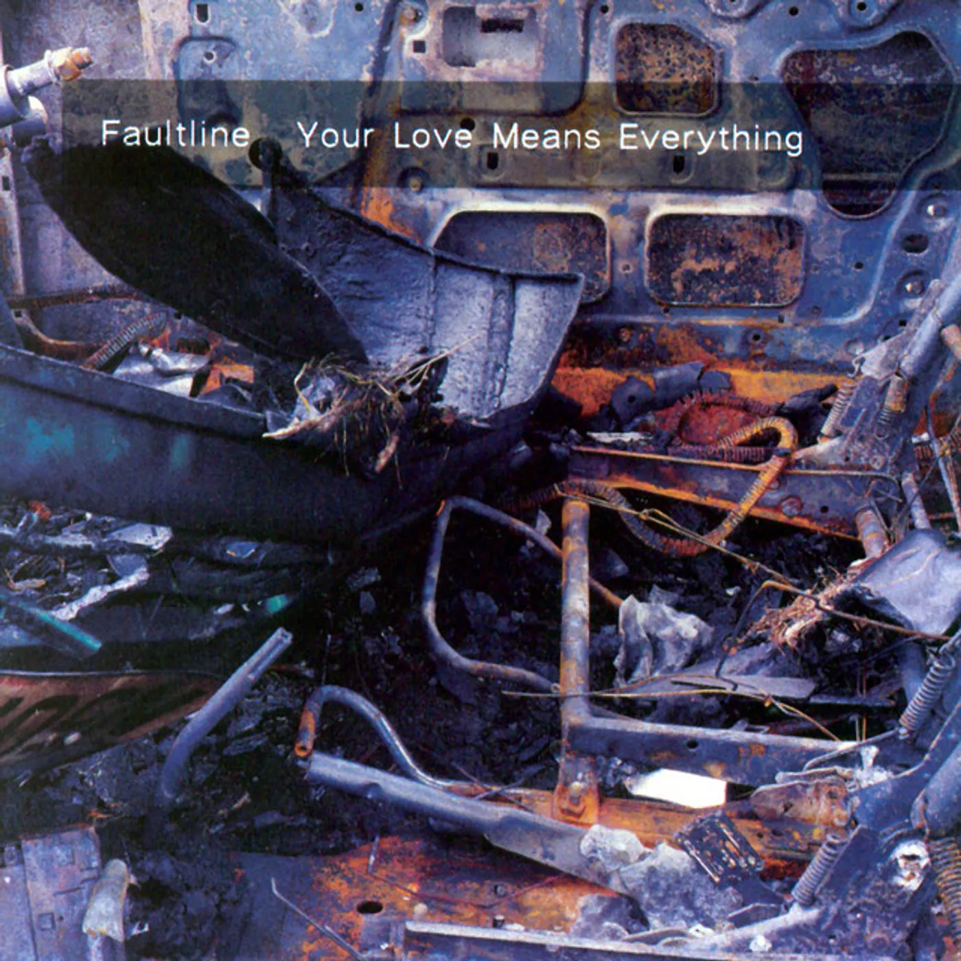 Faultline YOUR LOVE MEANS EVERYTHING CD