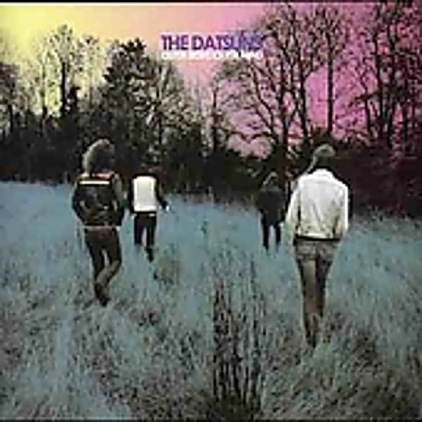 The Datsuns OUTTA SIGHT OUTTA MIND CD