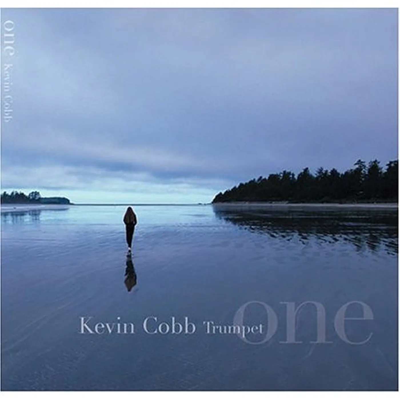 Kevin Cobb ONE CD
