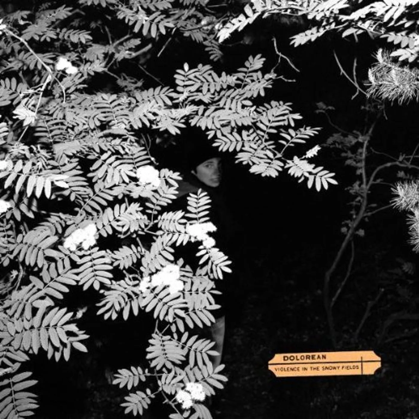 Dolorean VIOLENCE IN THE SNOWY FIELDS Vinyl Record