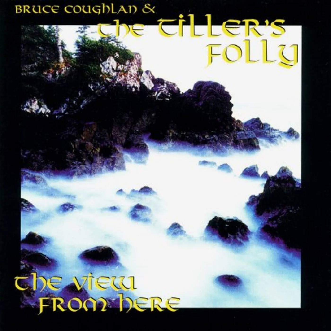 Tiller's Folly VIEW FROM HERE CD