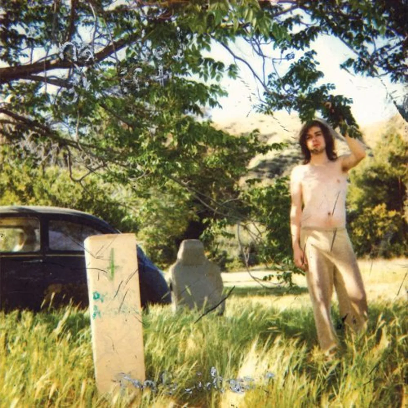 Ariel Pink's Haunted Graffiti DOLDRUMS Vinyl Record