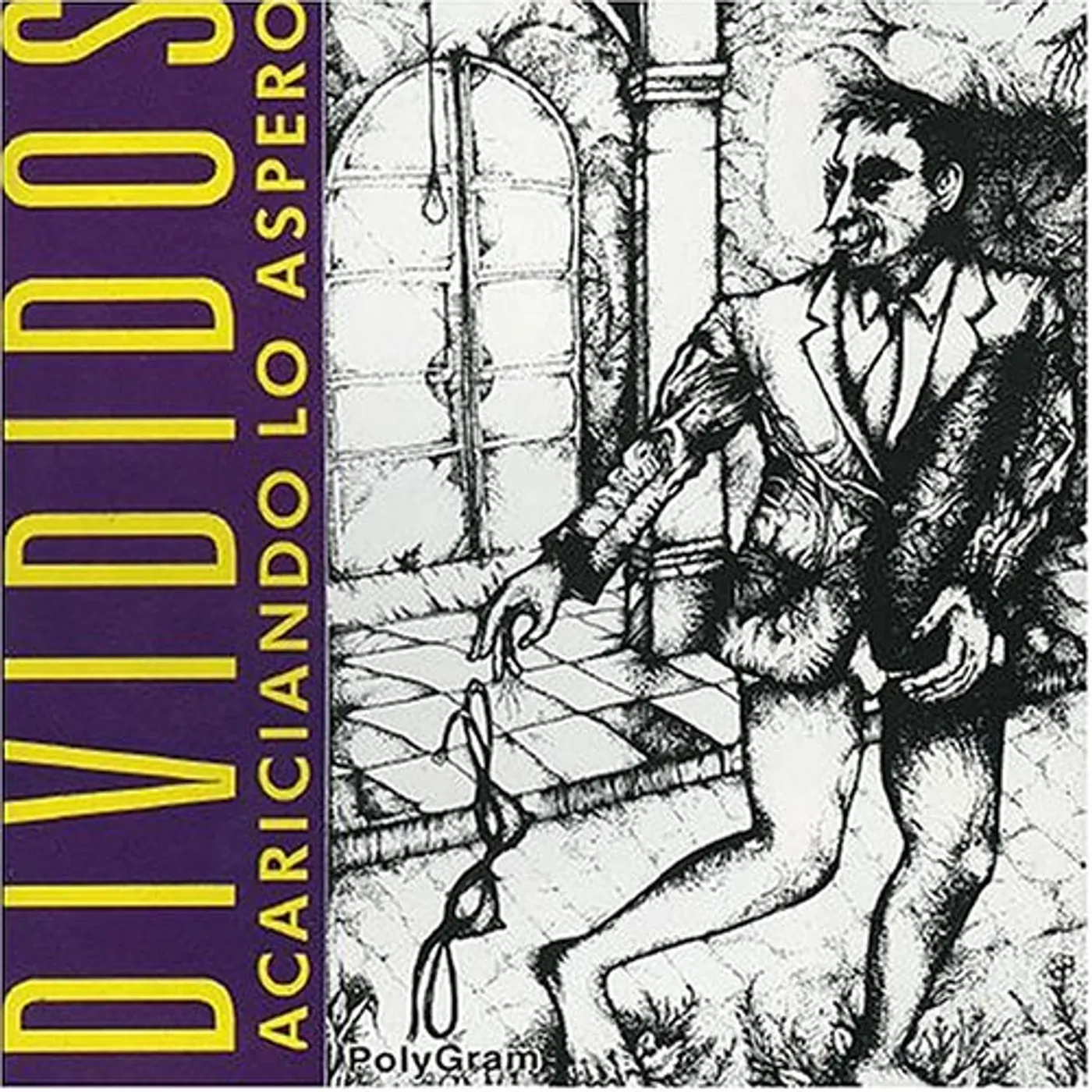 Divididos ACARICIANDO LO ASPERO CD